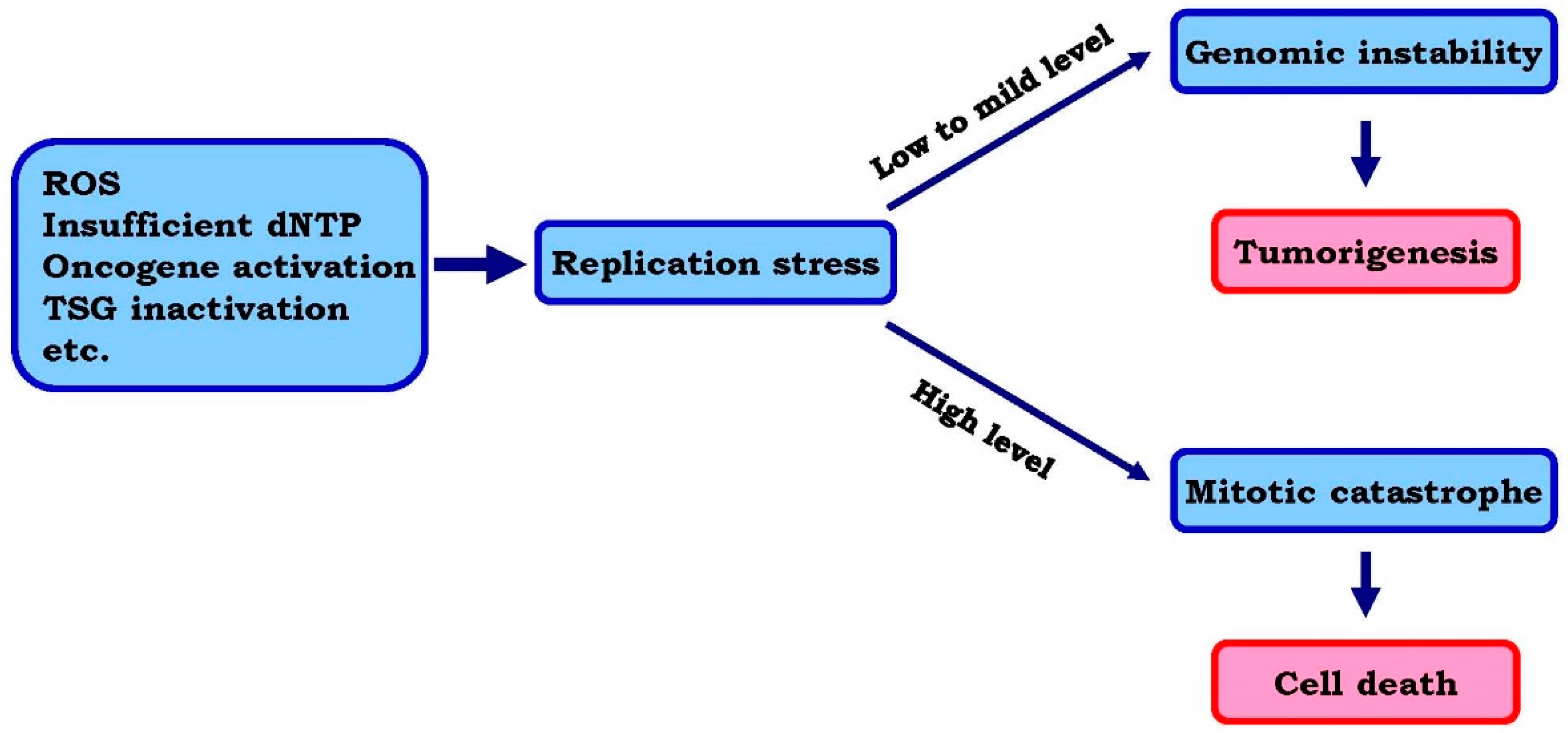 Genes 07 00051 g001