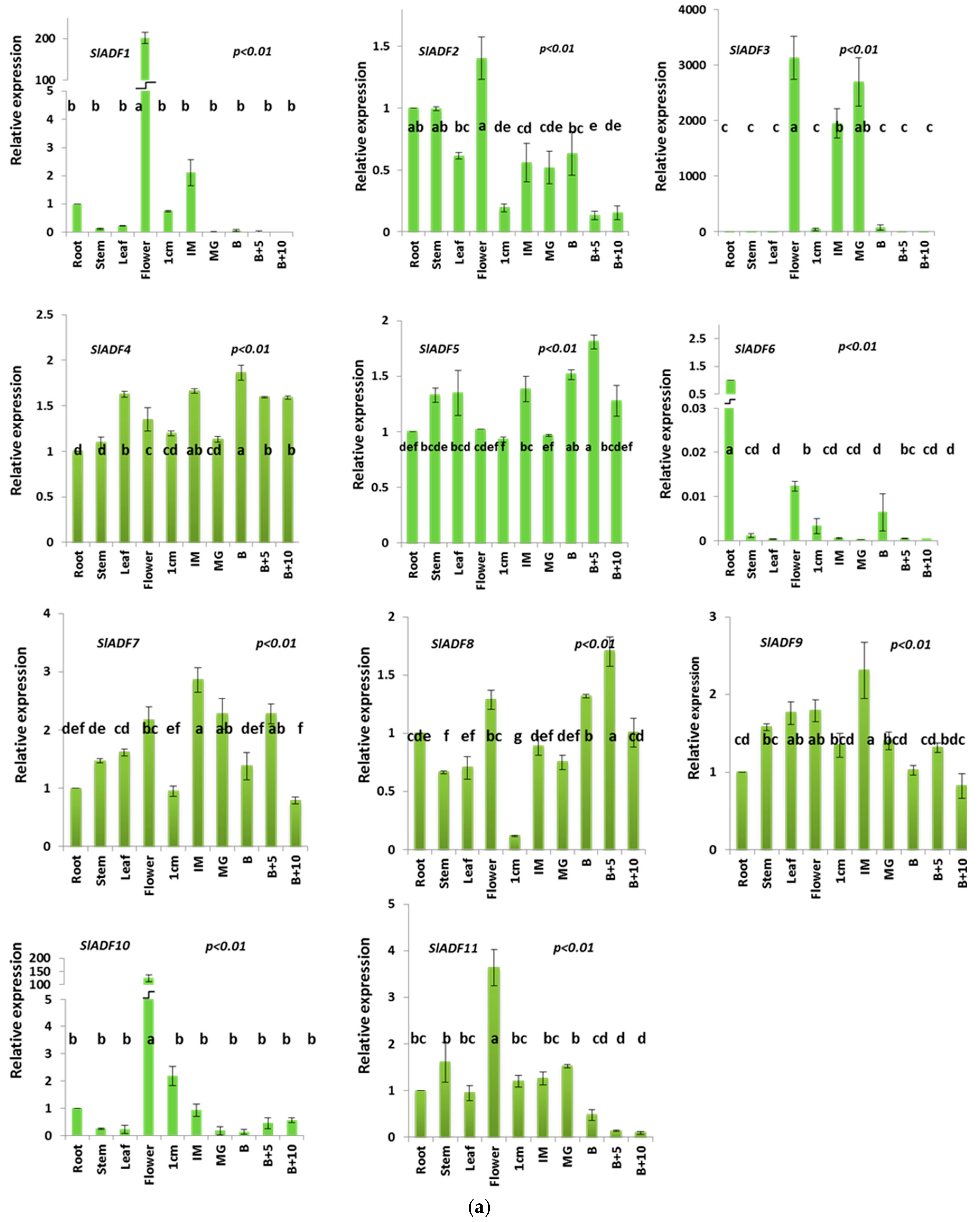 Genes 07 00079 g004a