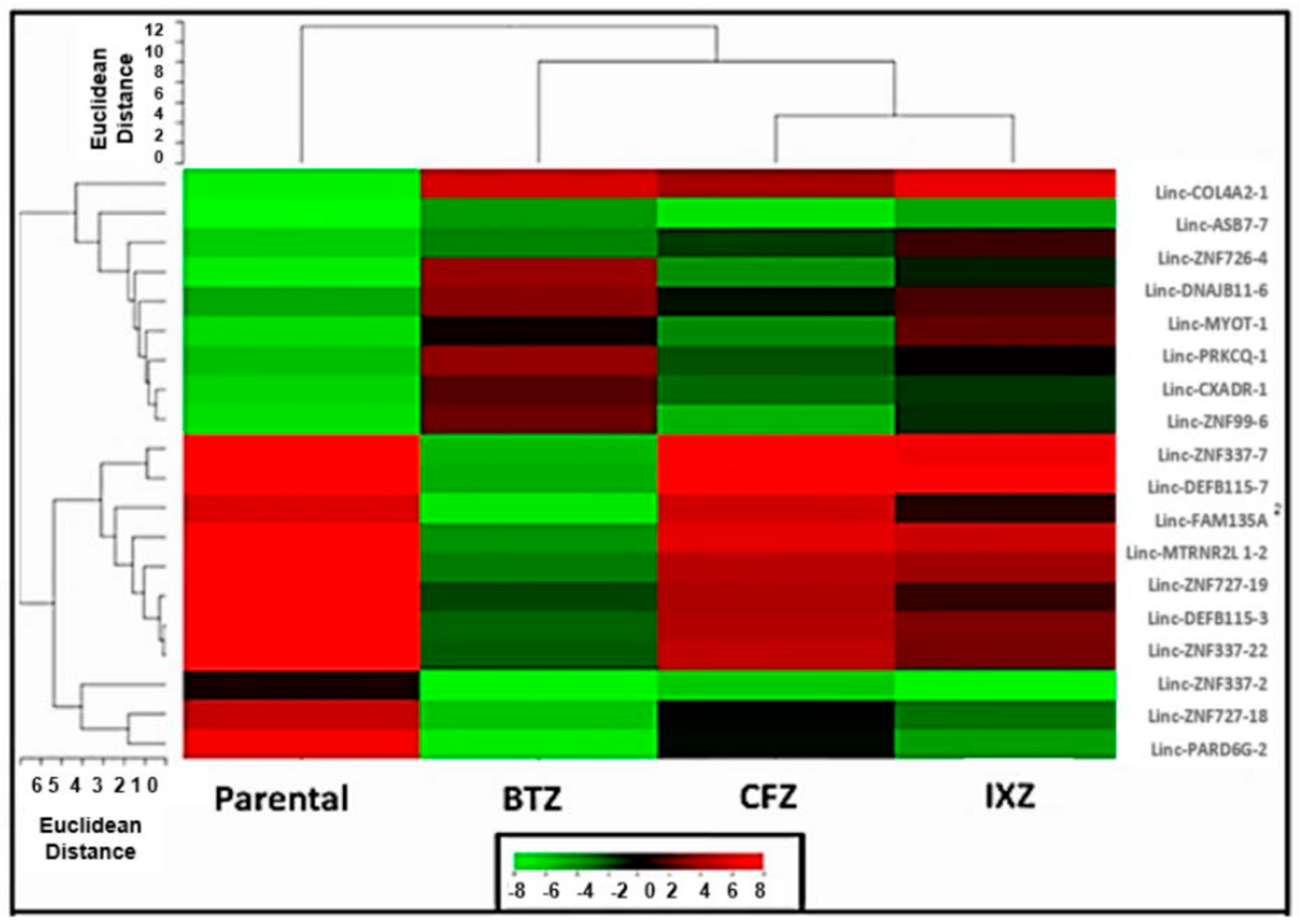 Genes 07 00084 g004