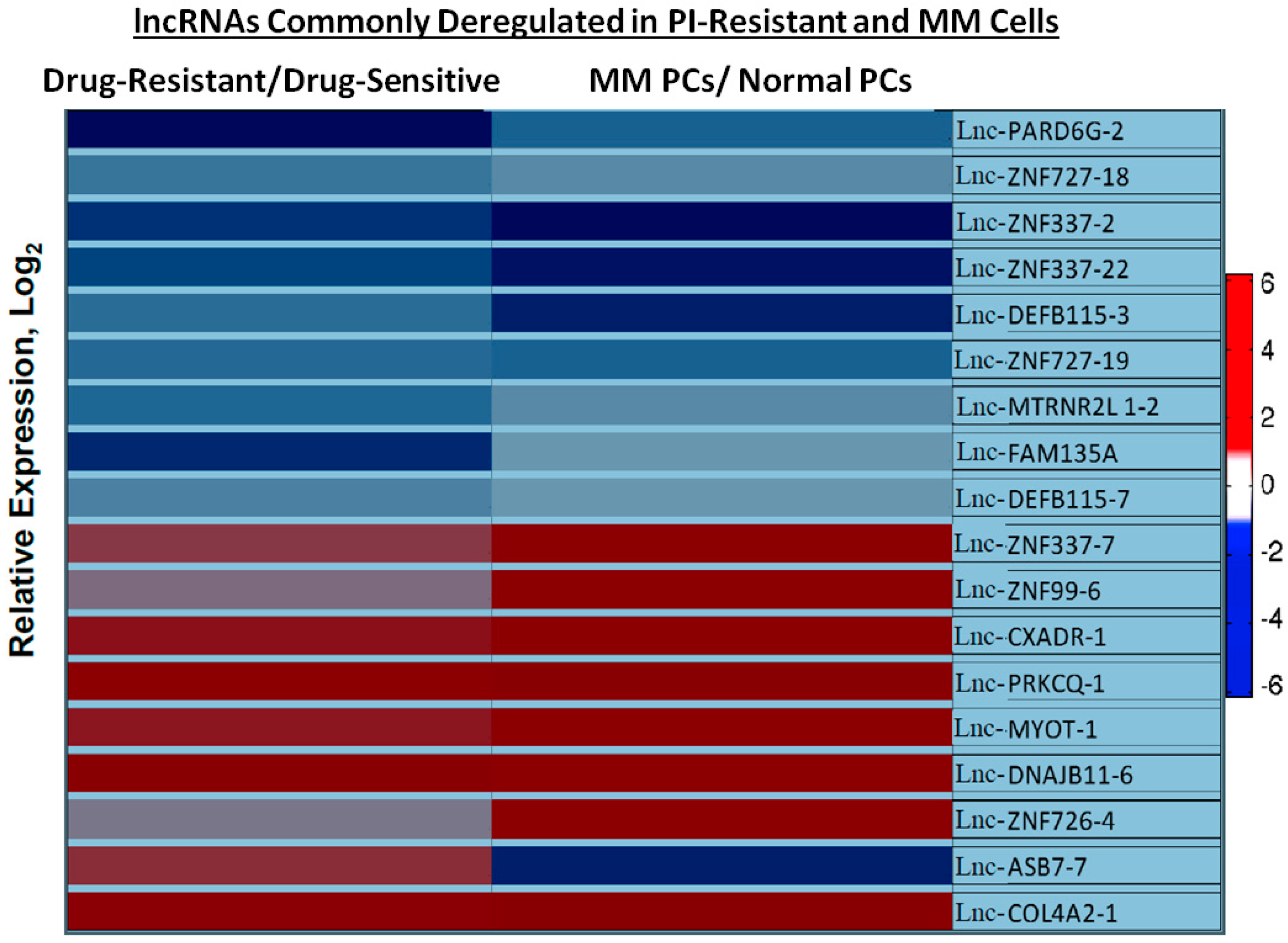 Genes 07 00084 g005
