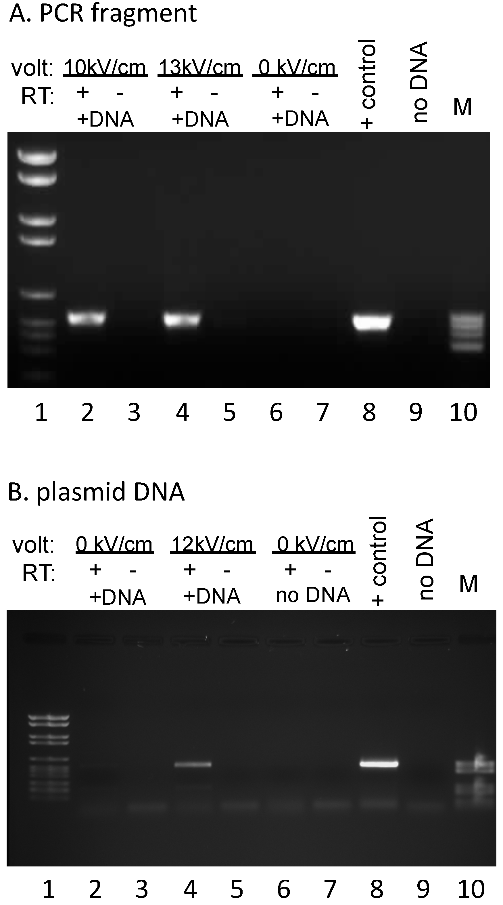 Genes 07 00128 g002