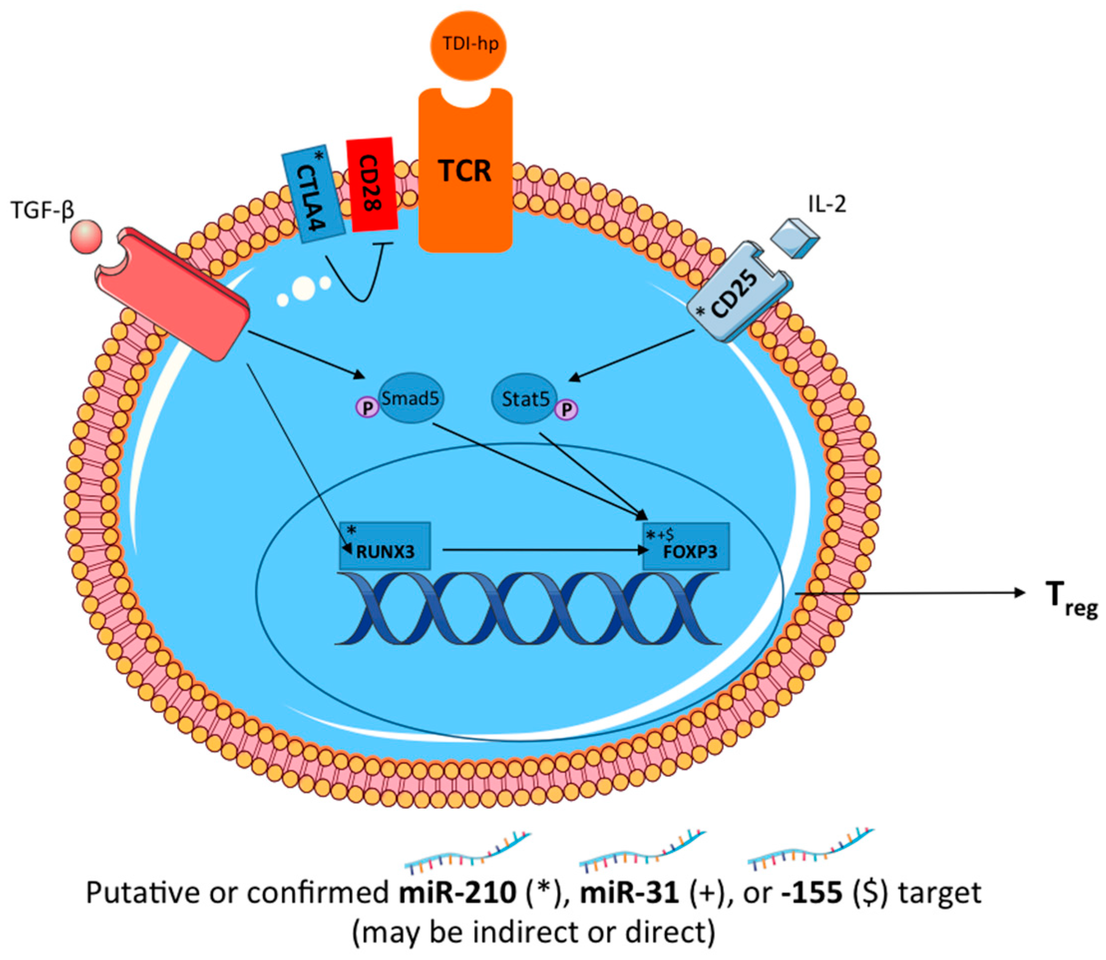 Genes 08 00009 g008