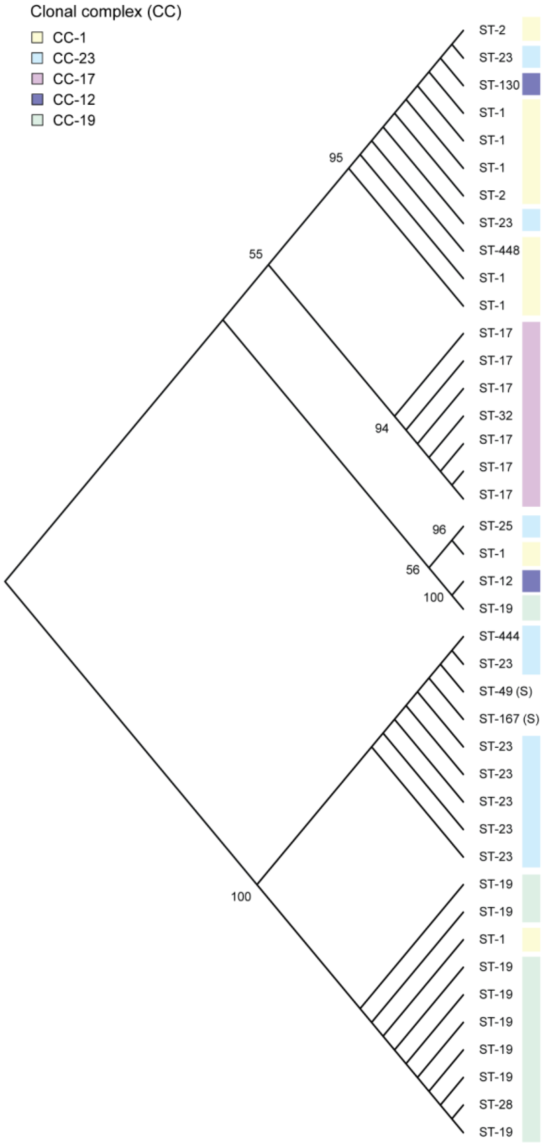 Genes 08 00023 g001