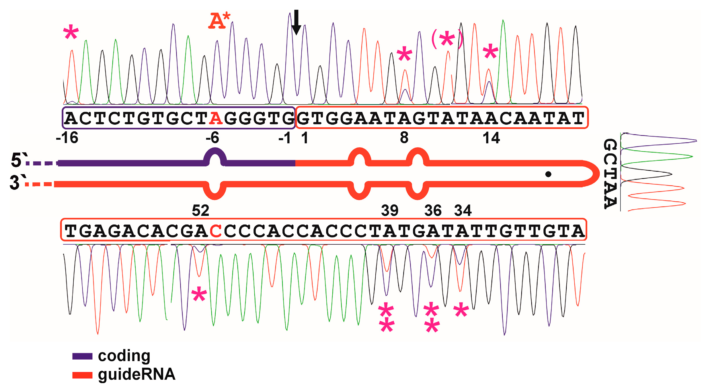 Genes 08 00034 g002