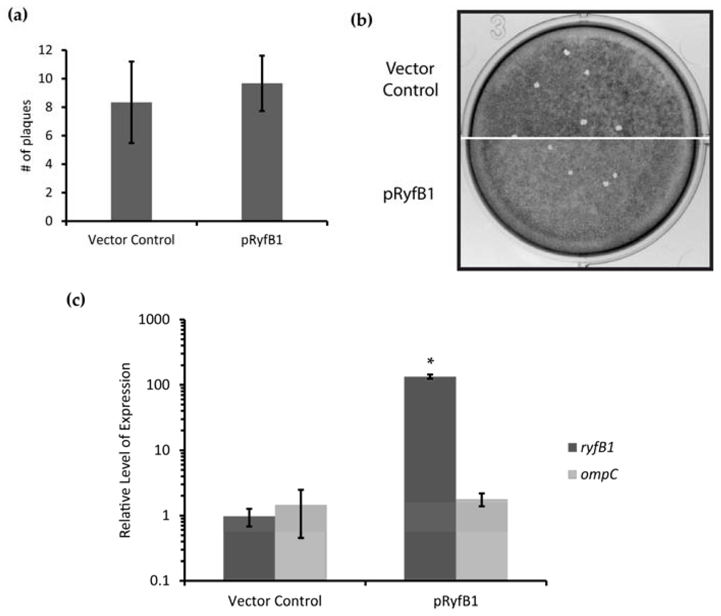 Genes 08 00050 g010