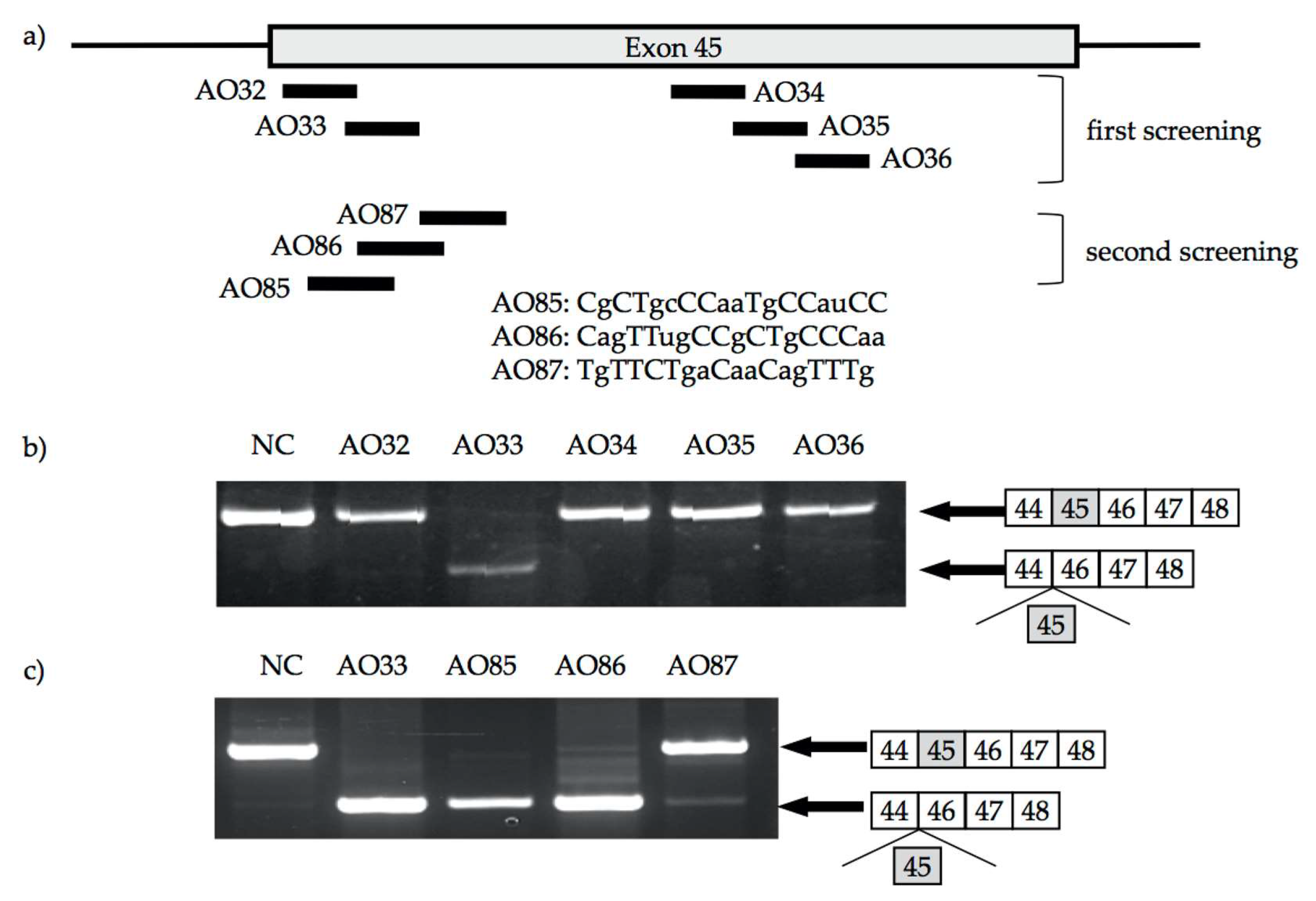 Genes 08 00067 g002