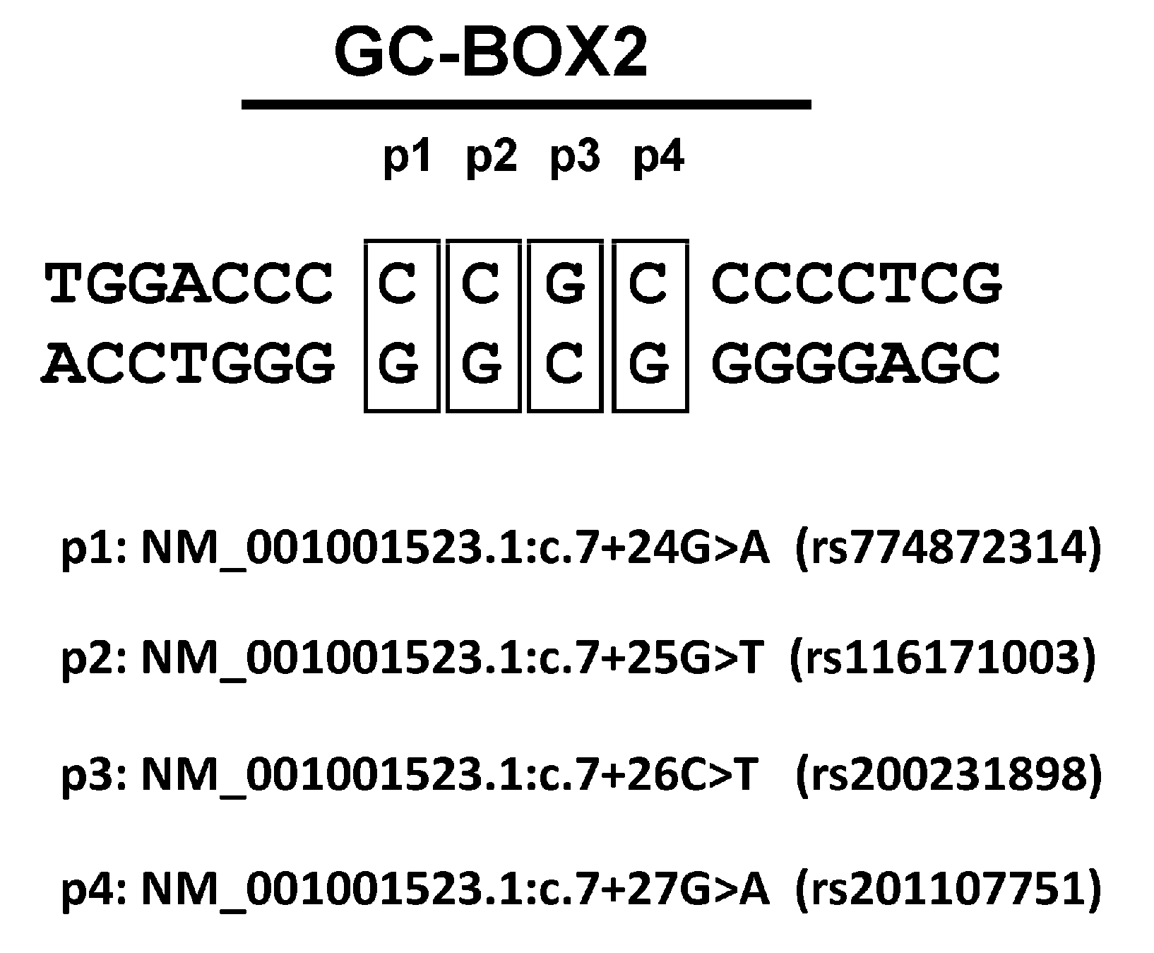 Genes 08 00126 g001