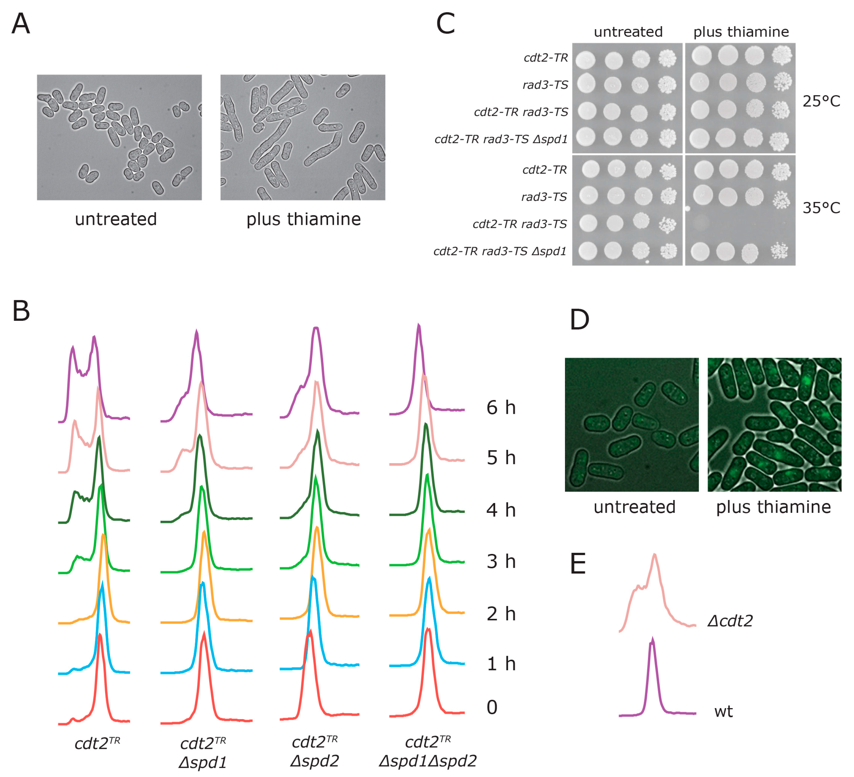 Genes 08 00128 g001 Genes 08 00128 g001