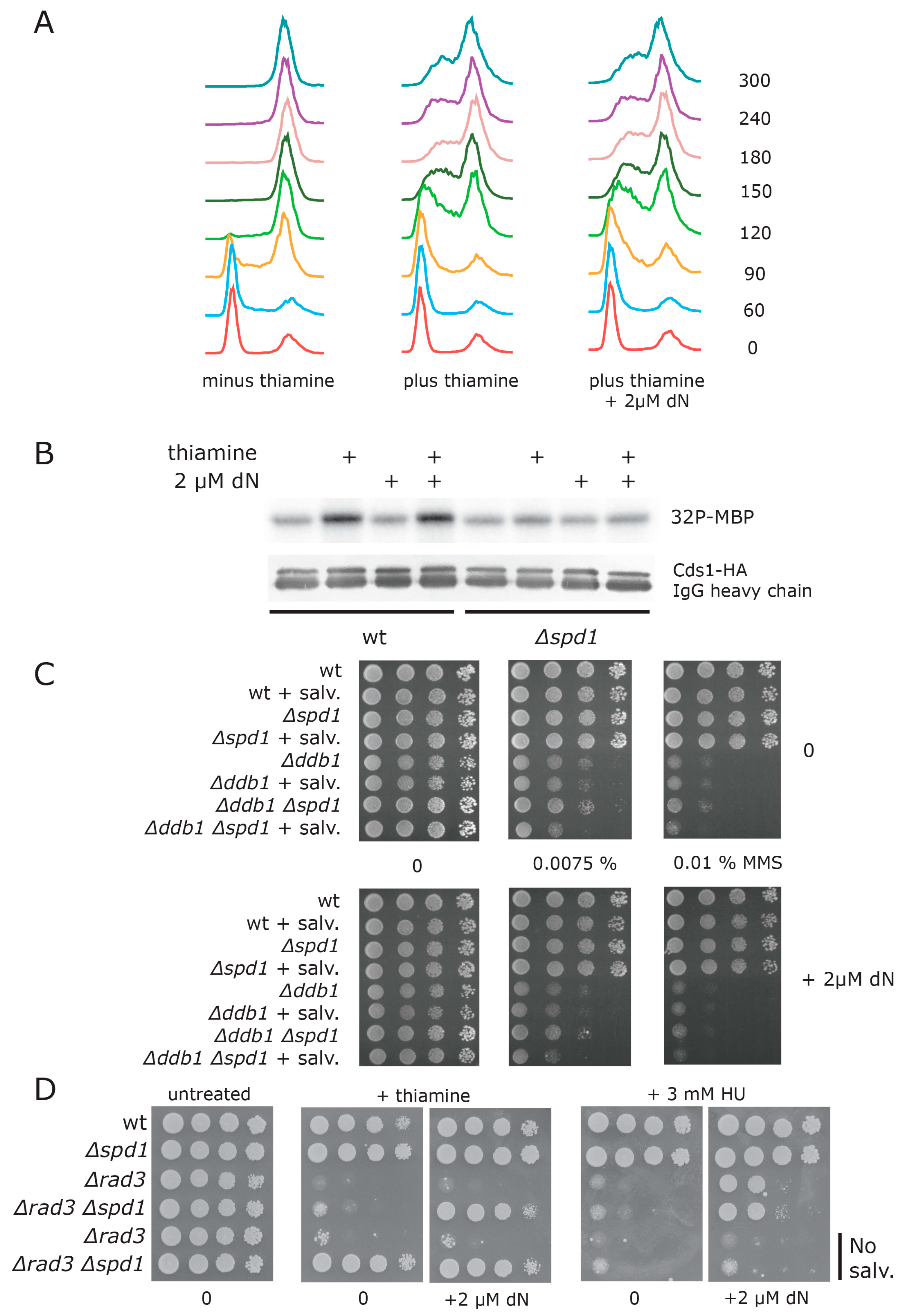 Genes 08 00128 g005 Genes 08 00128 g005