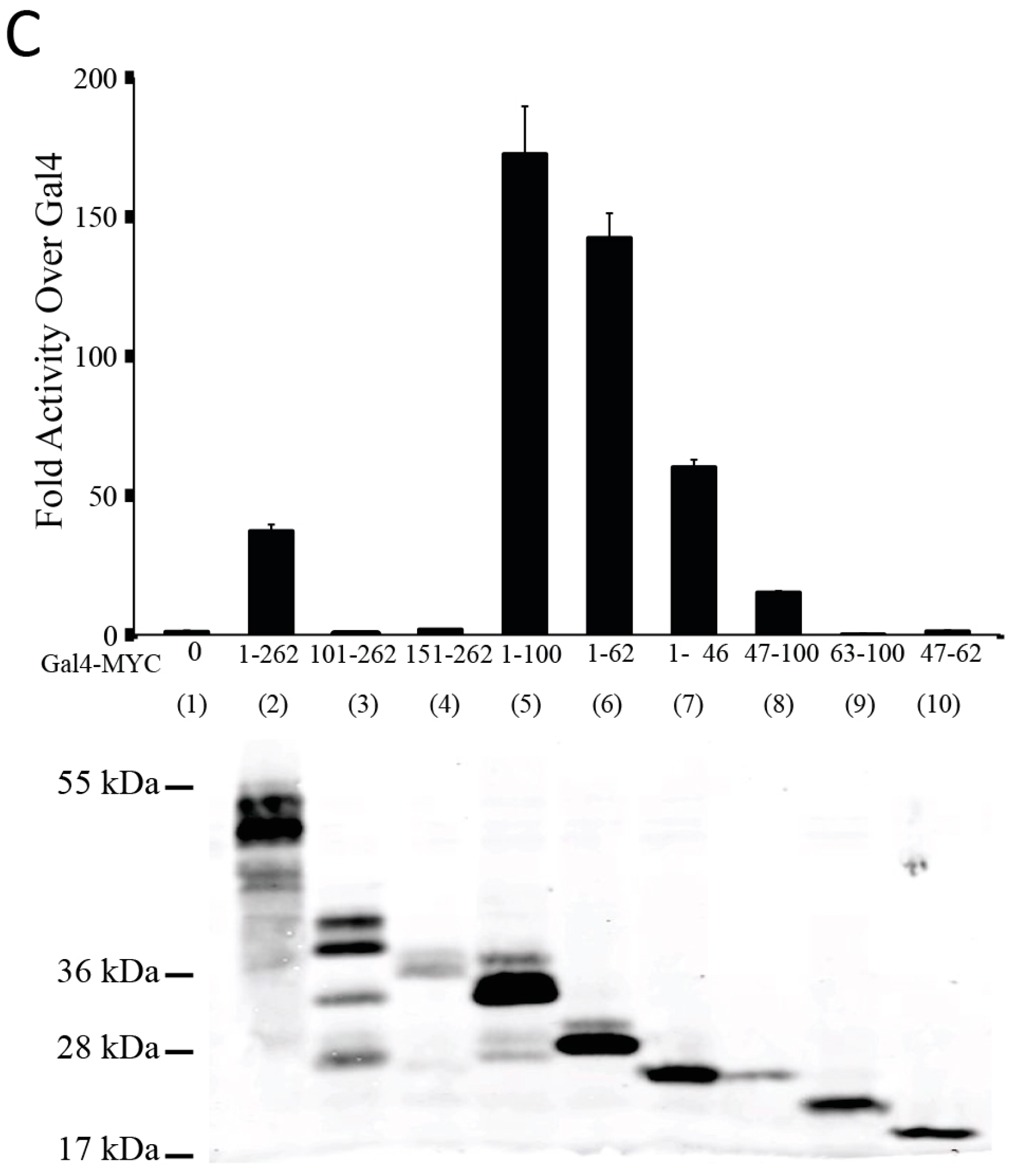 Genes 08 00134 g001b Genes 08 00134 g001b