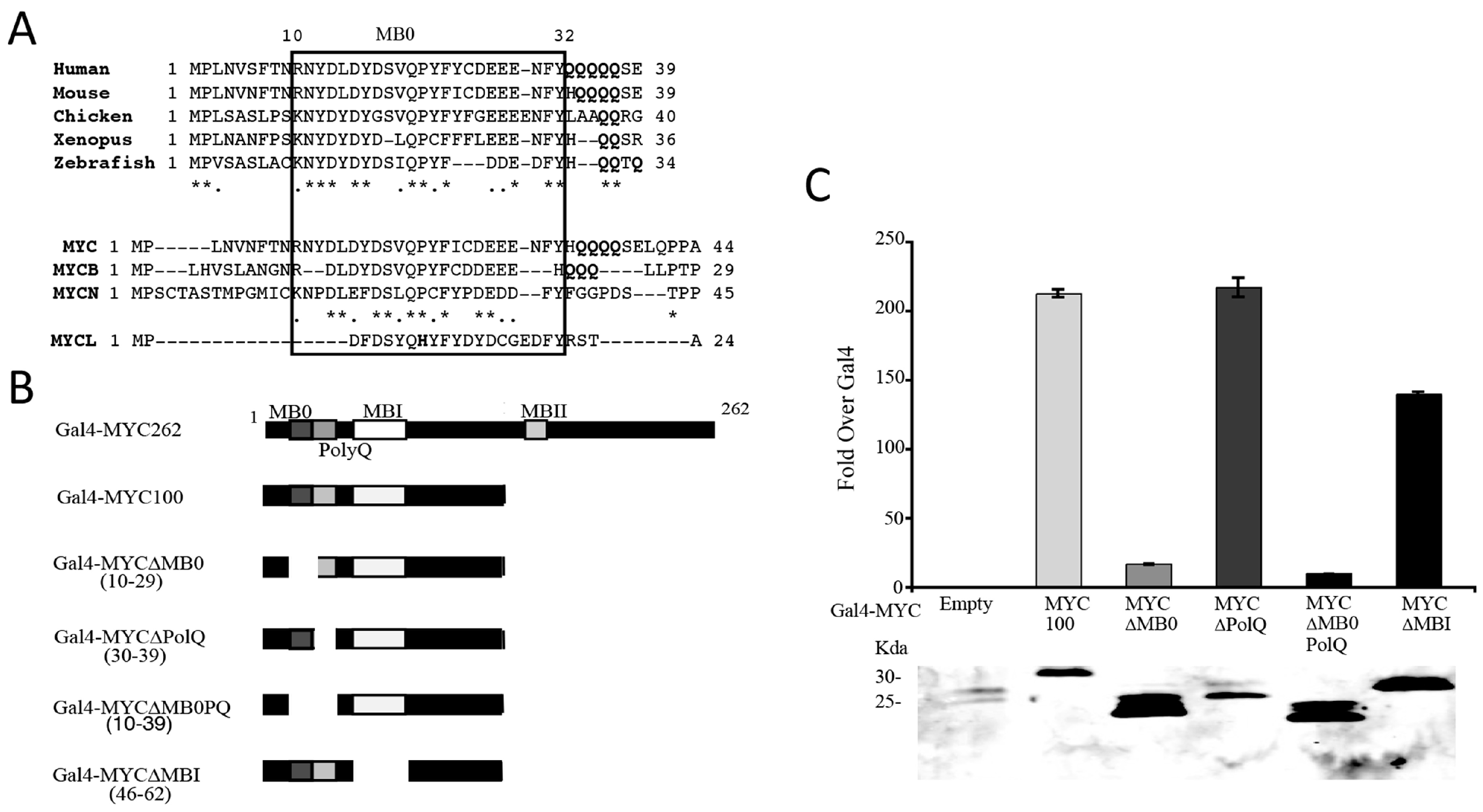 Genes 08 00134 g002 Genes 08 00134 g002