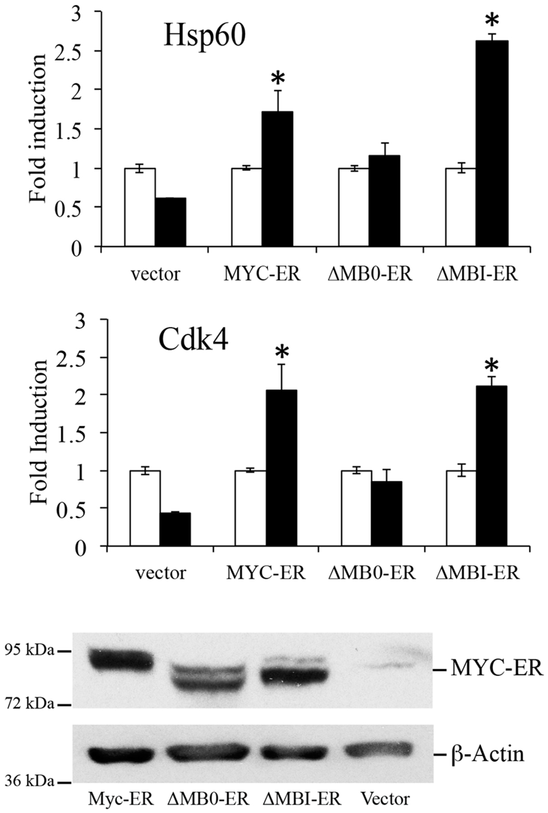 Genes 08 00134 g003b Genes 08 00134 g003b
