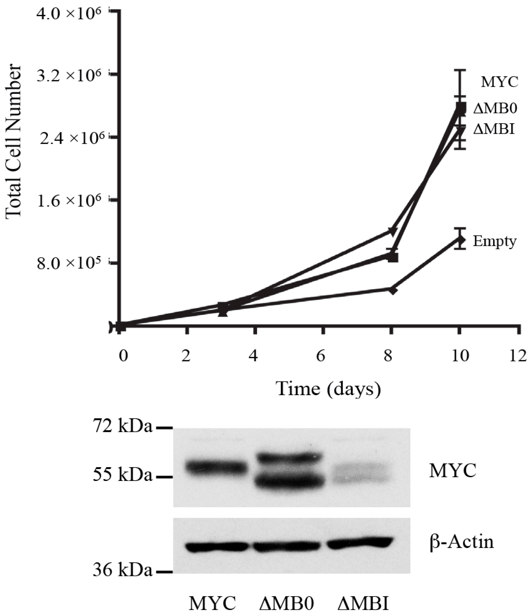 Genes 08 00134 g004 Genes 08 00134 g004
