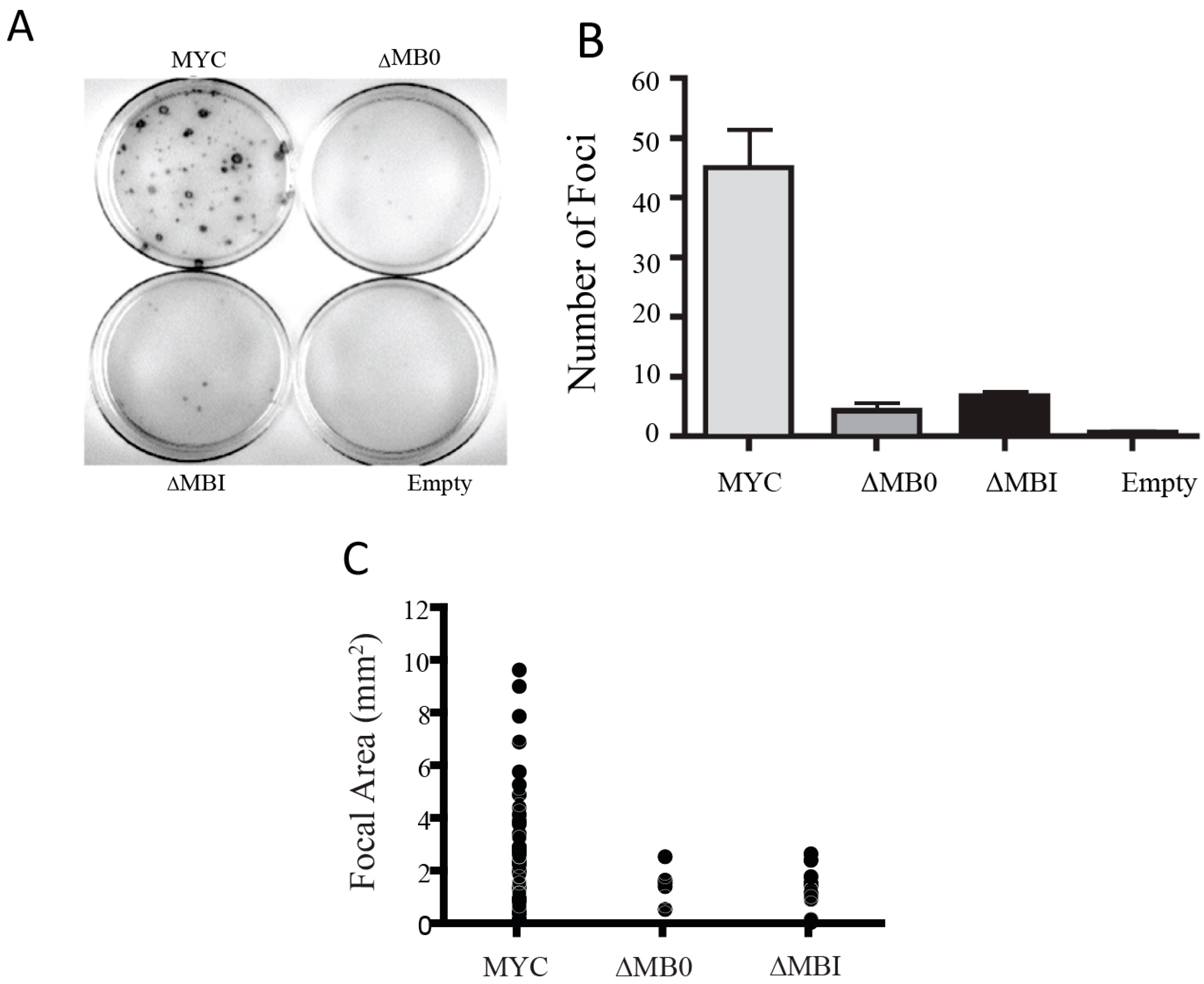 Genes 08 00134 g005 Genes 08 00134 g005