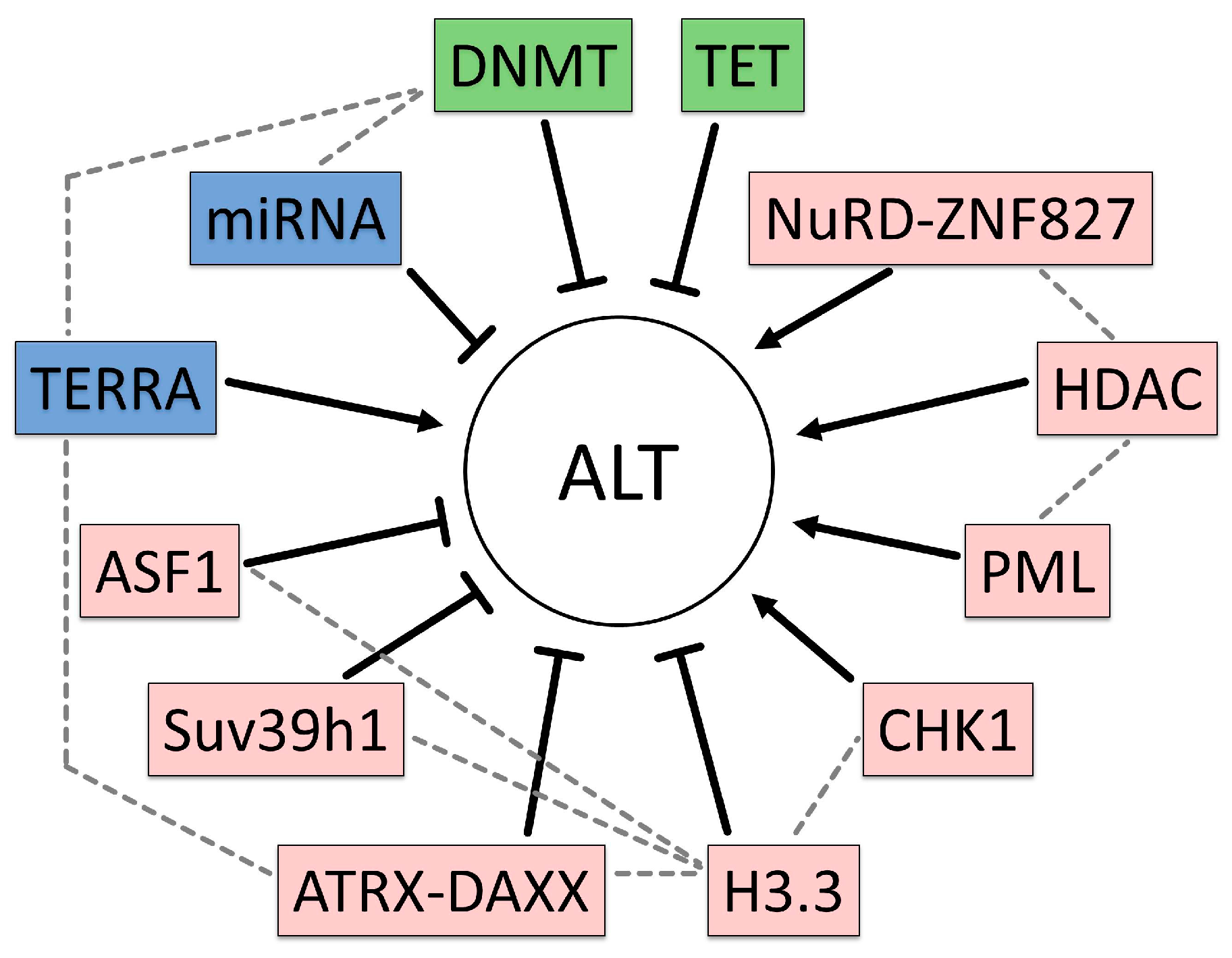 Genes 08 00145 g001 Genes 08 00145 g001