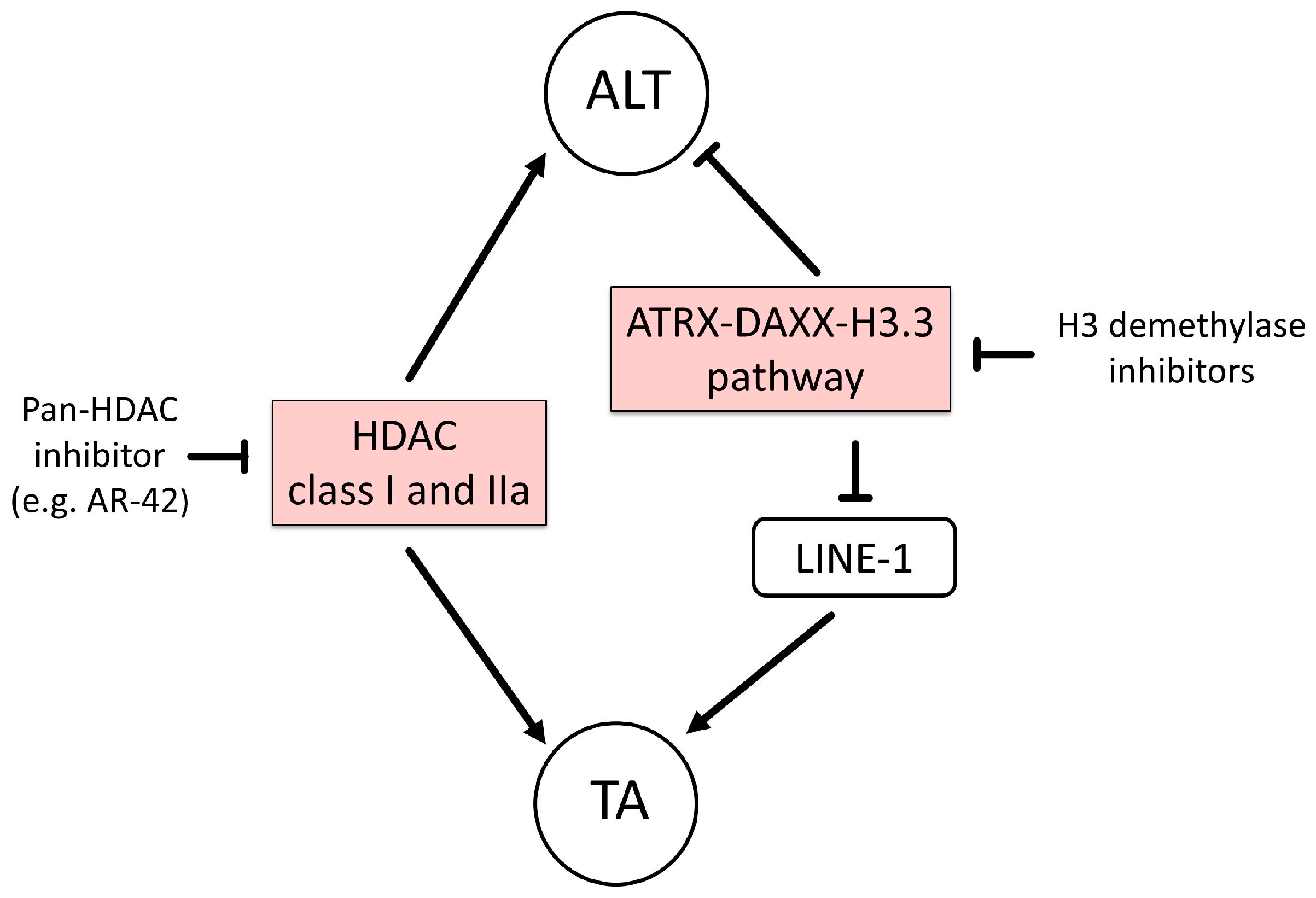 Genes 08 00145 g002 Genes 08 00145 g002