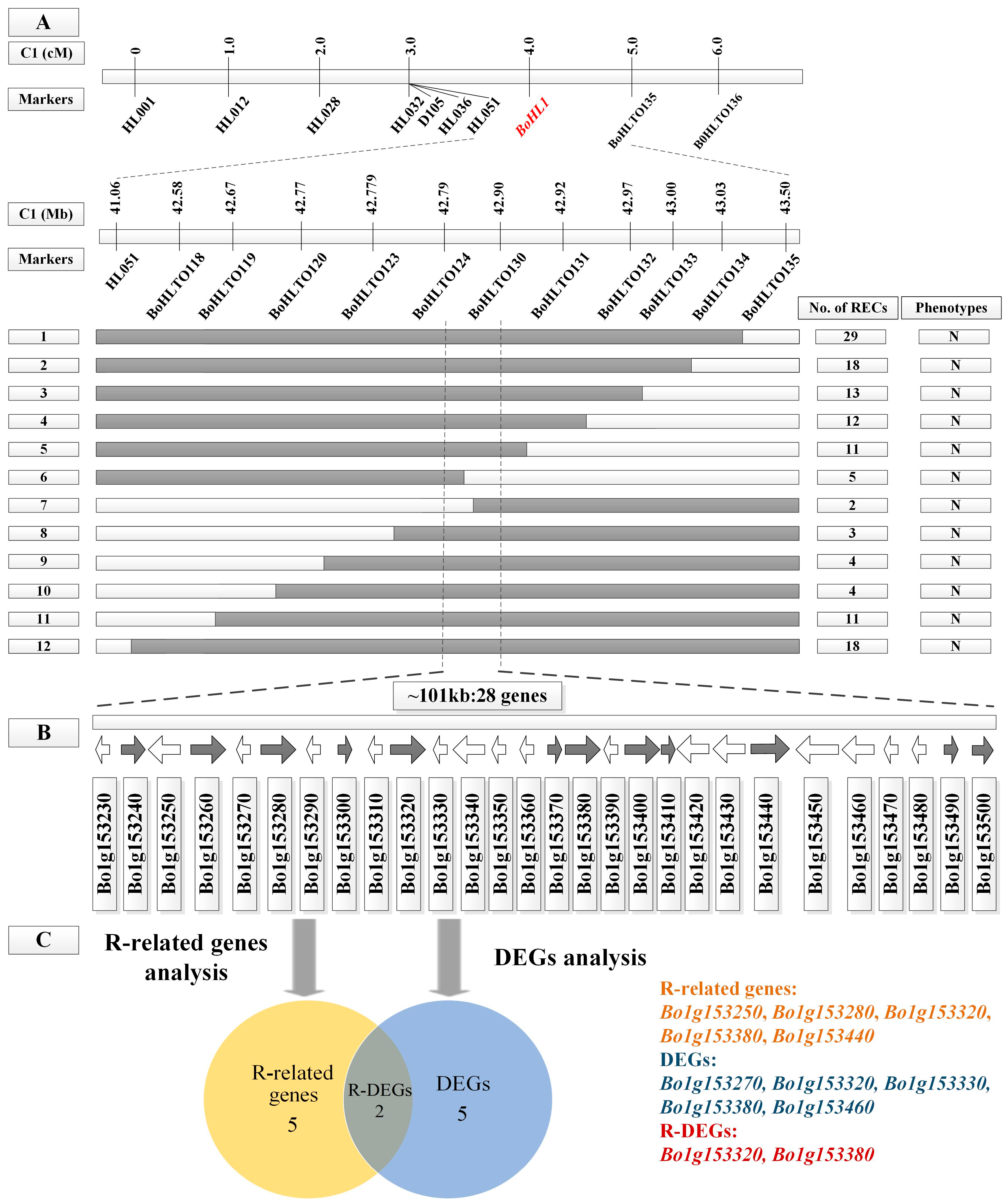 Genes 08 00147 g002