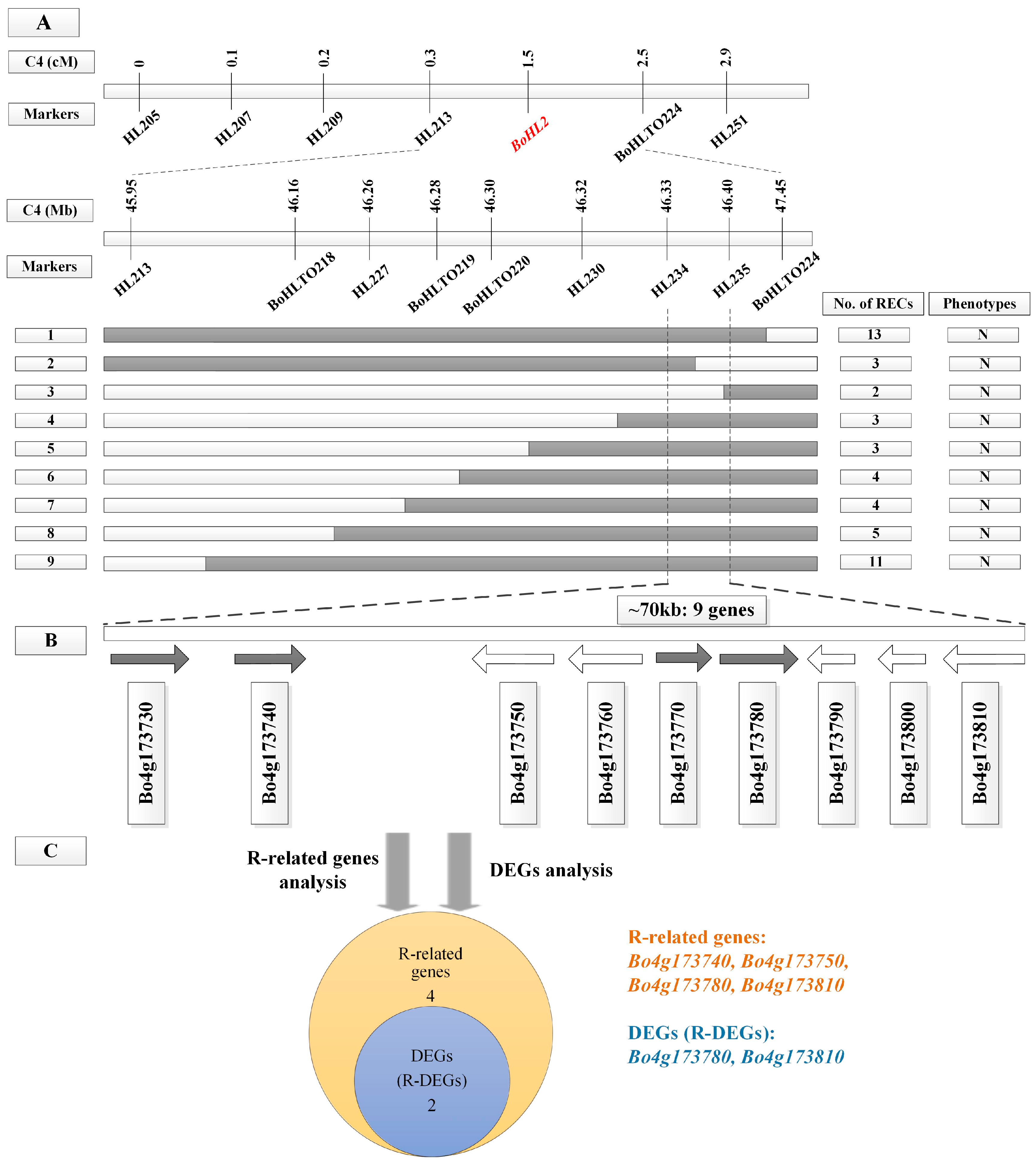 Genes 08 00147 g003