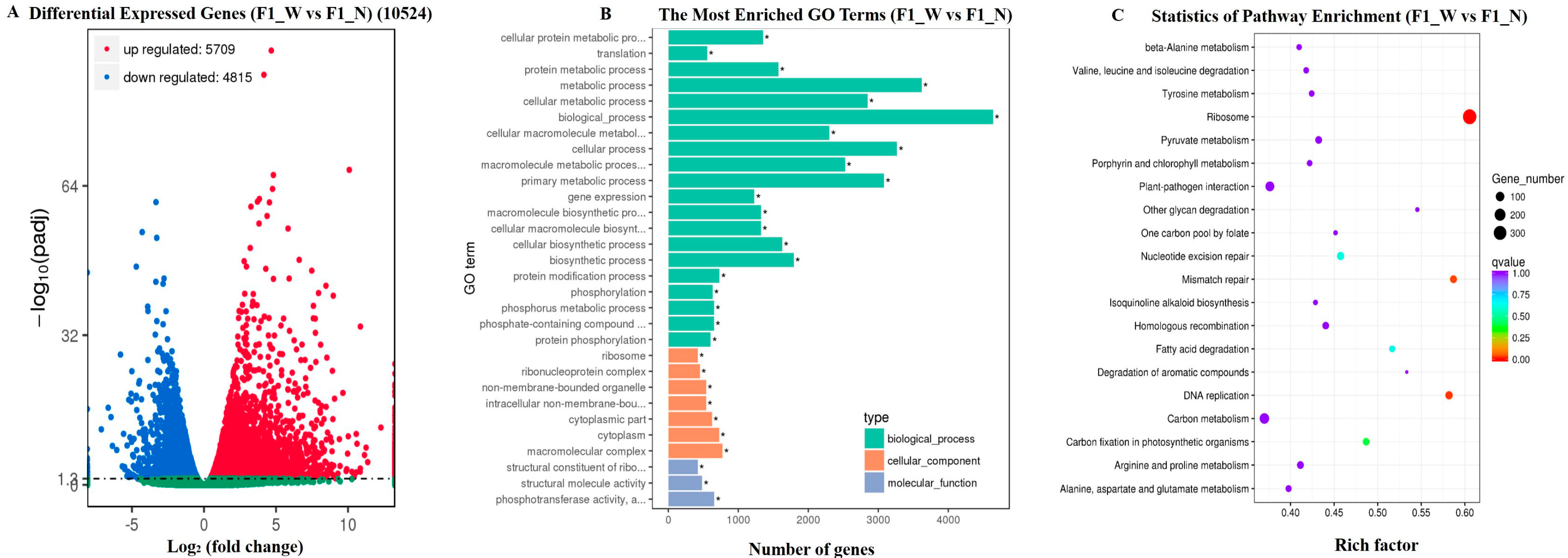 Genes 08 00147 g004