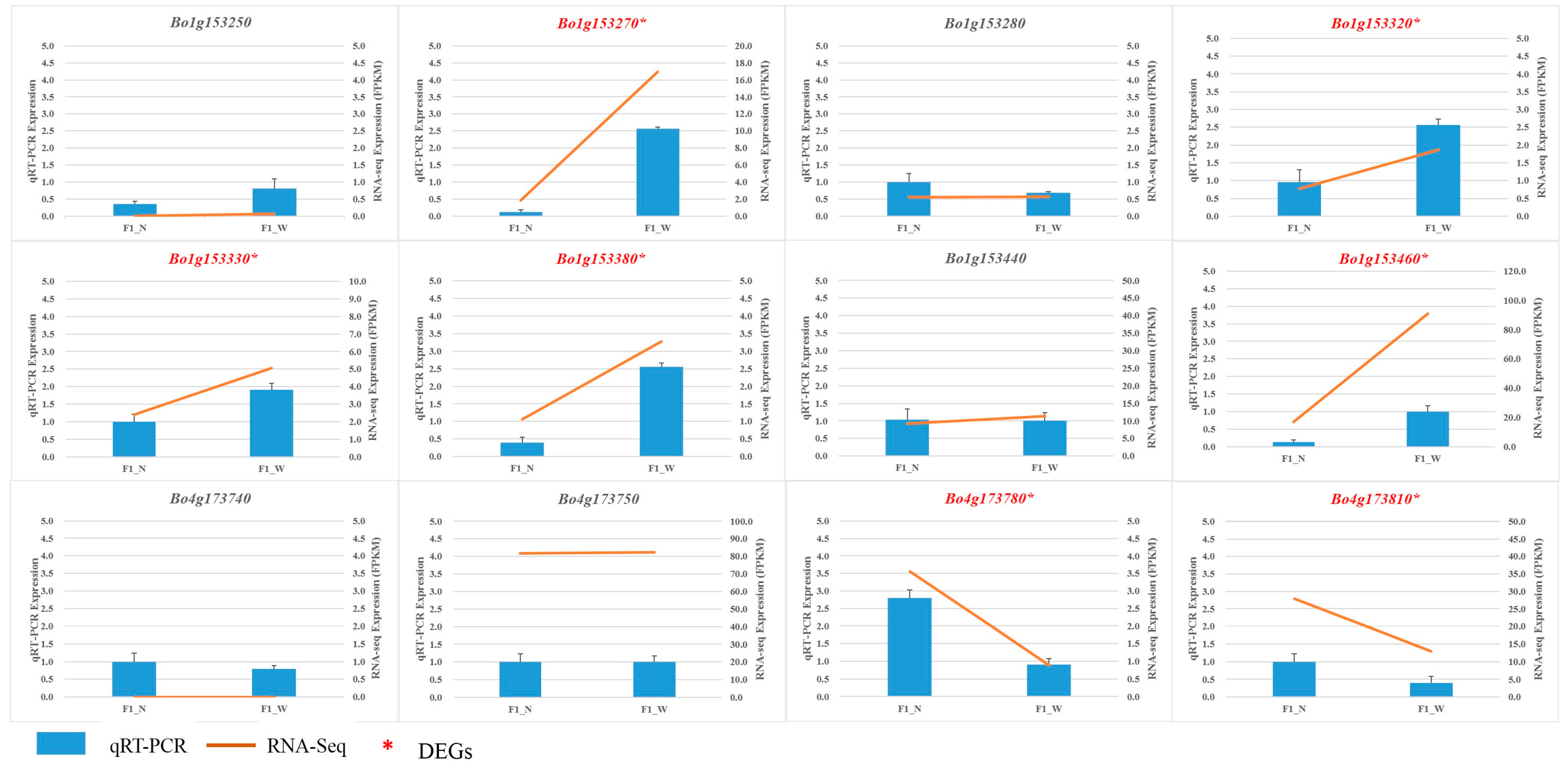 Genes 08 00147 g006