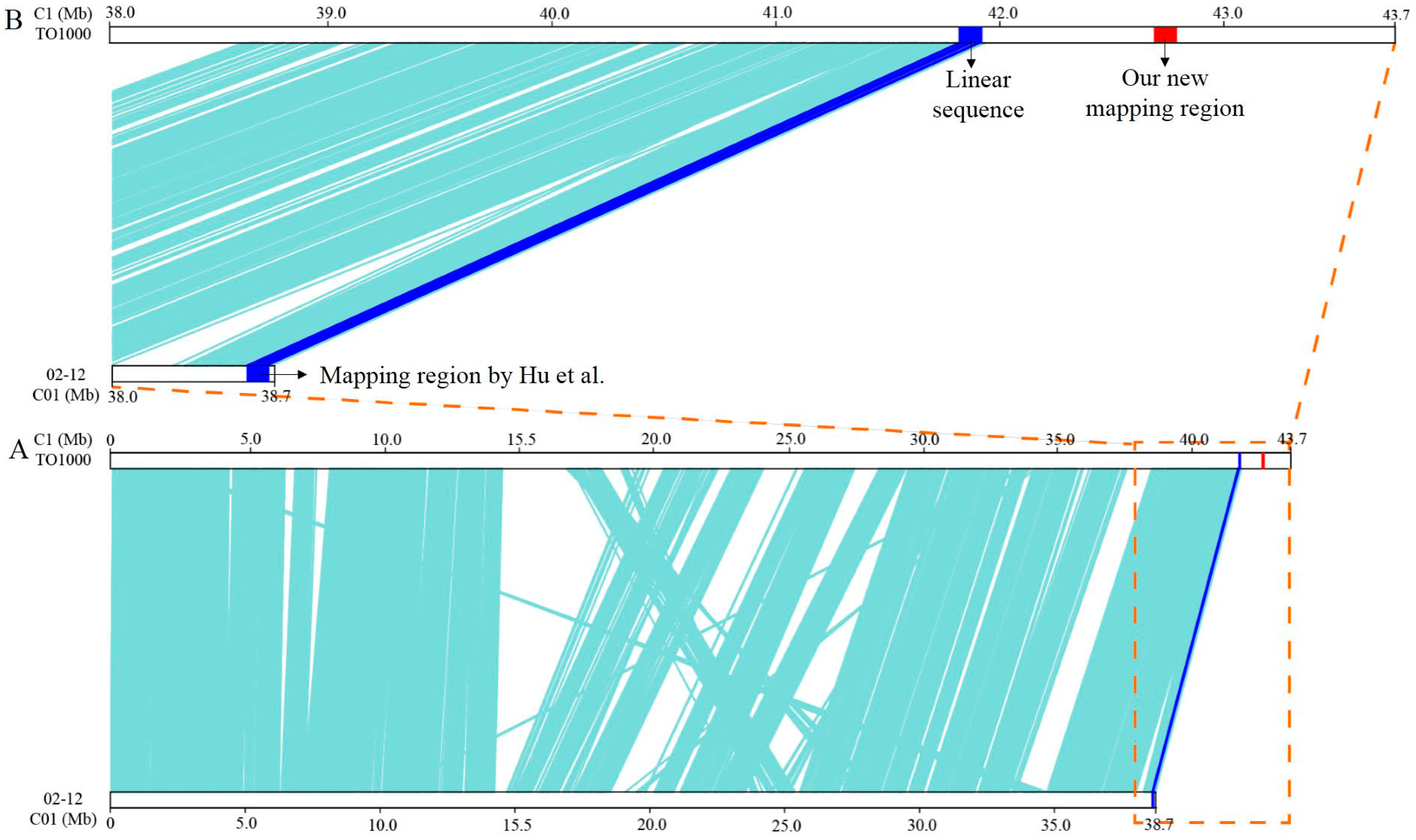 Genes 08 00147 g007
