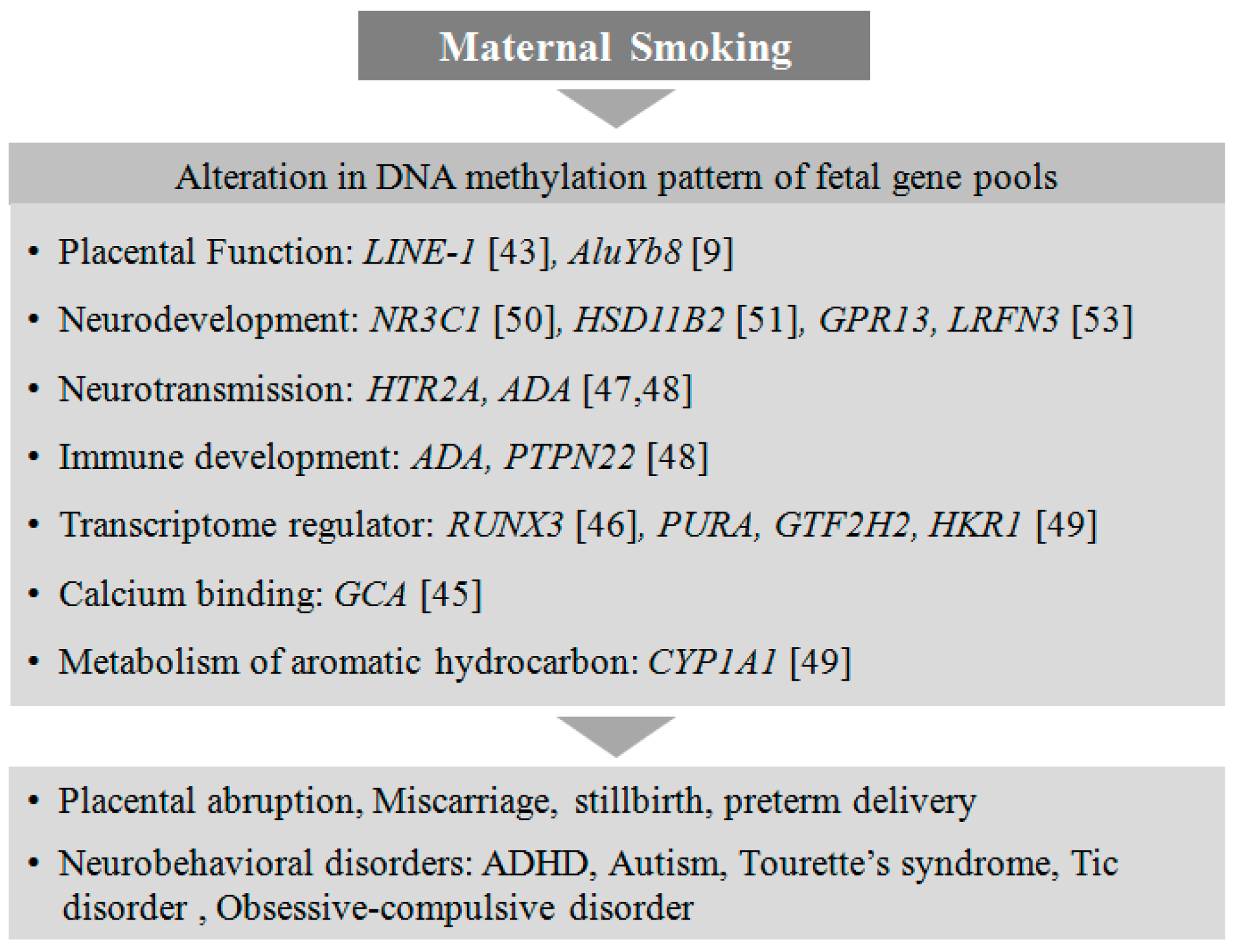 Genes 08 00150 g001 Genes 08 00150 g001