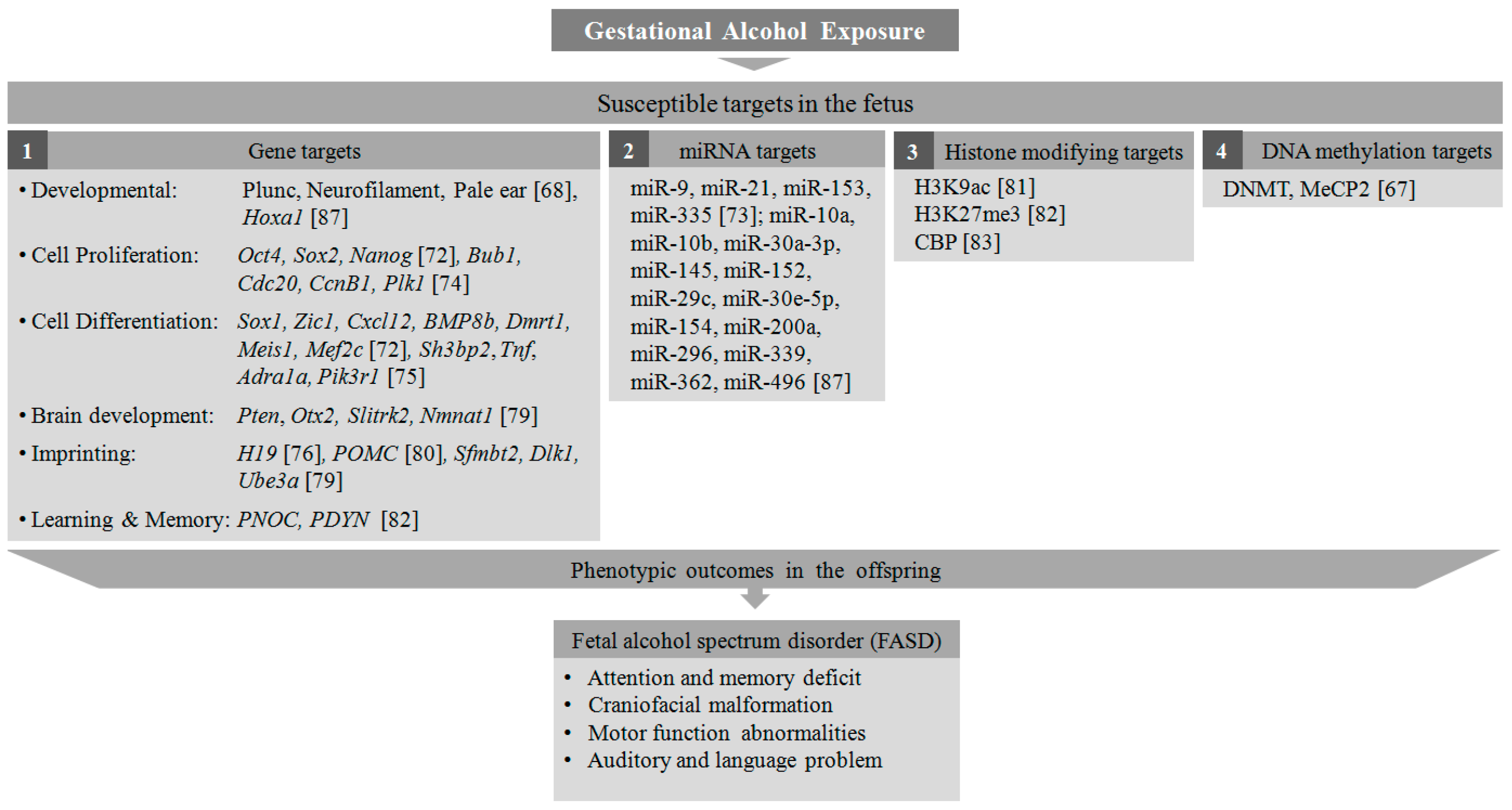 Genes 08 00150 g002 Genes 08 00150 g002