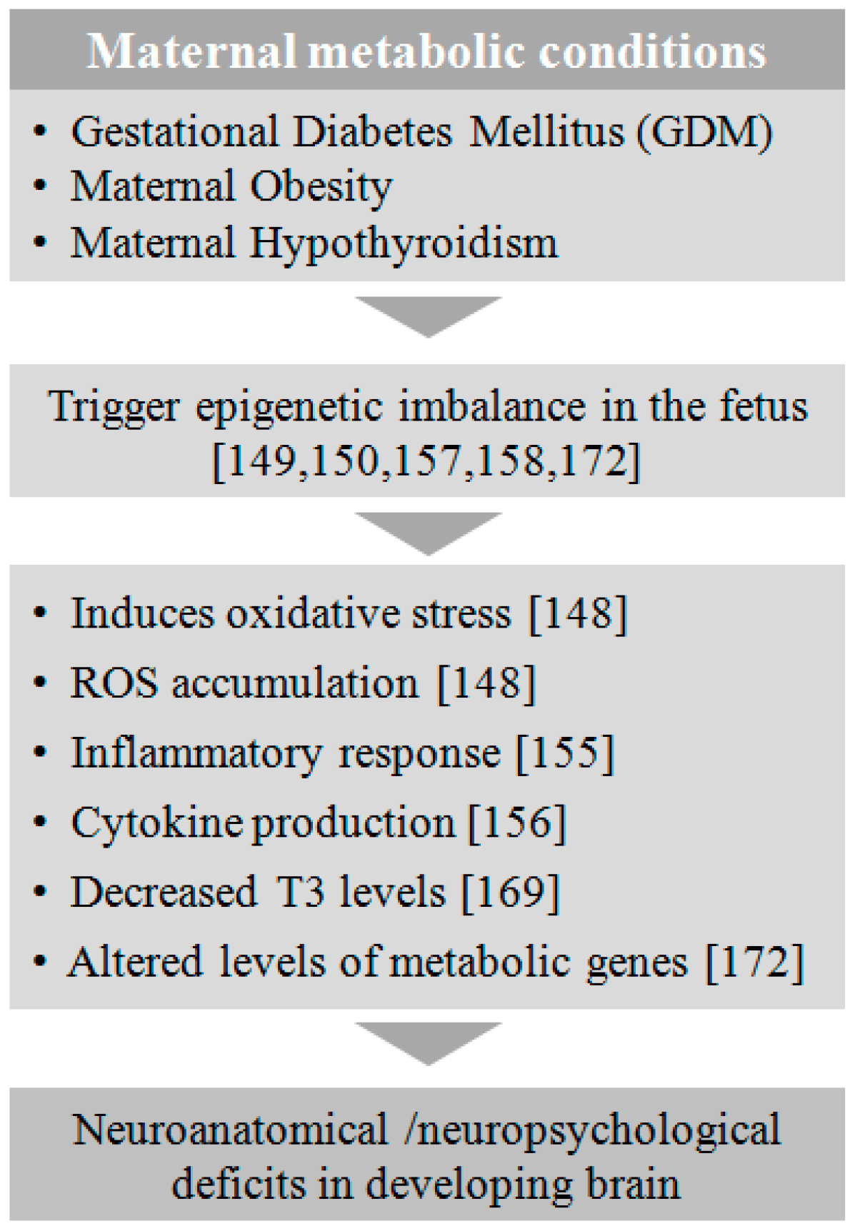 Genes 08 00150 g004 Genes 08 00150 g004