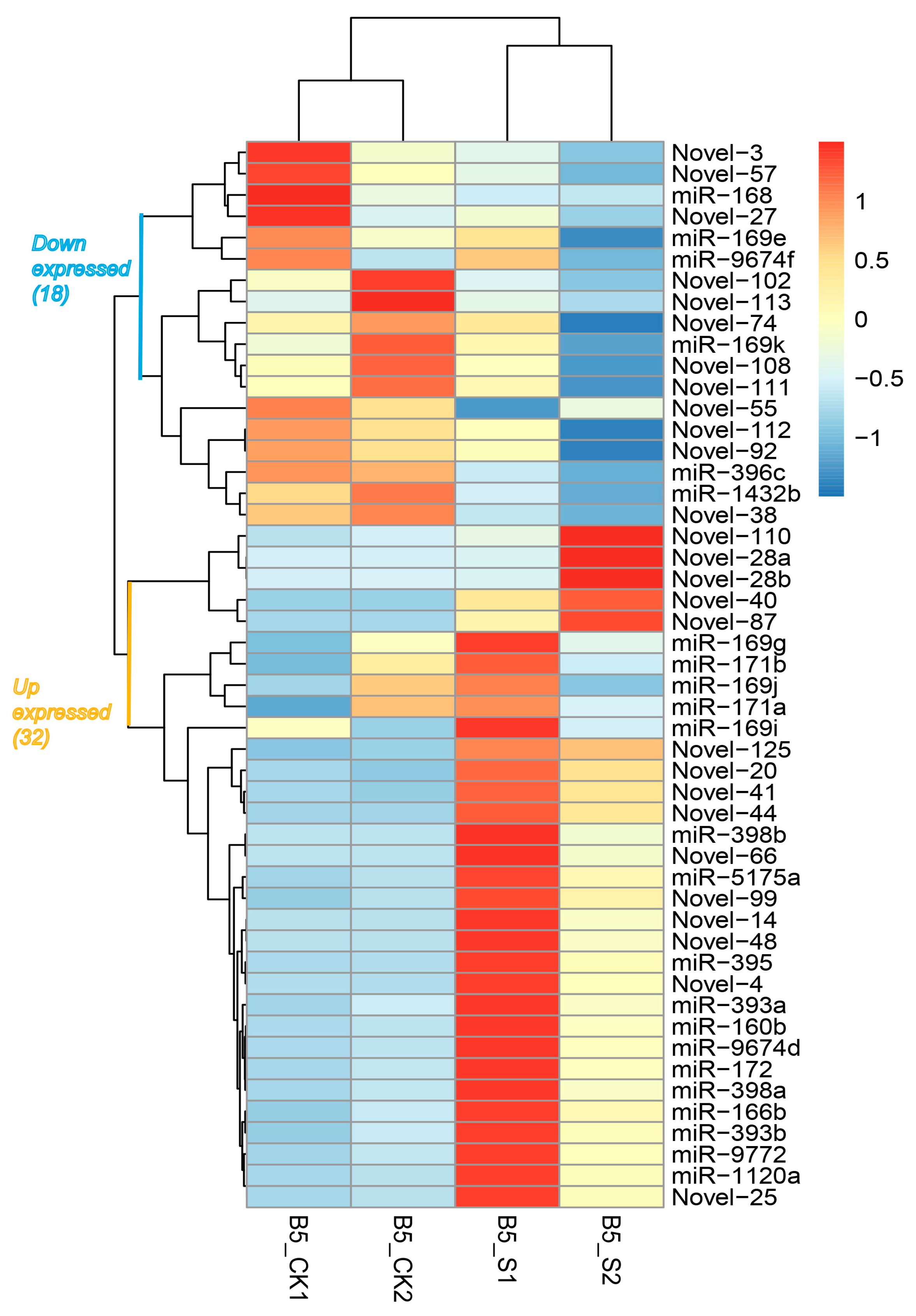 Genes 08 00156 g001