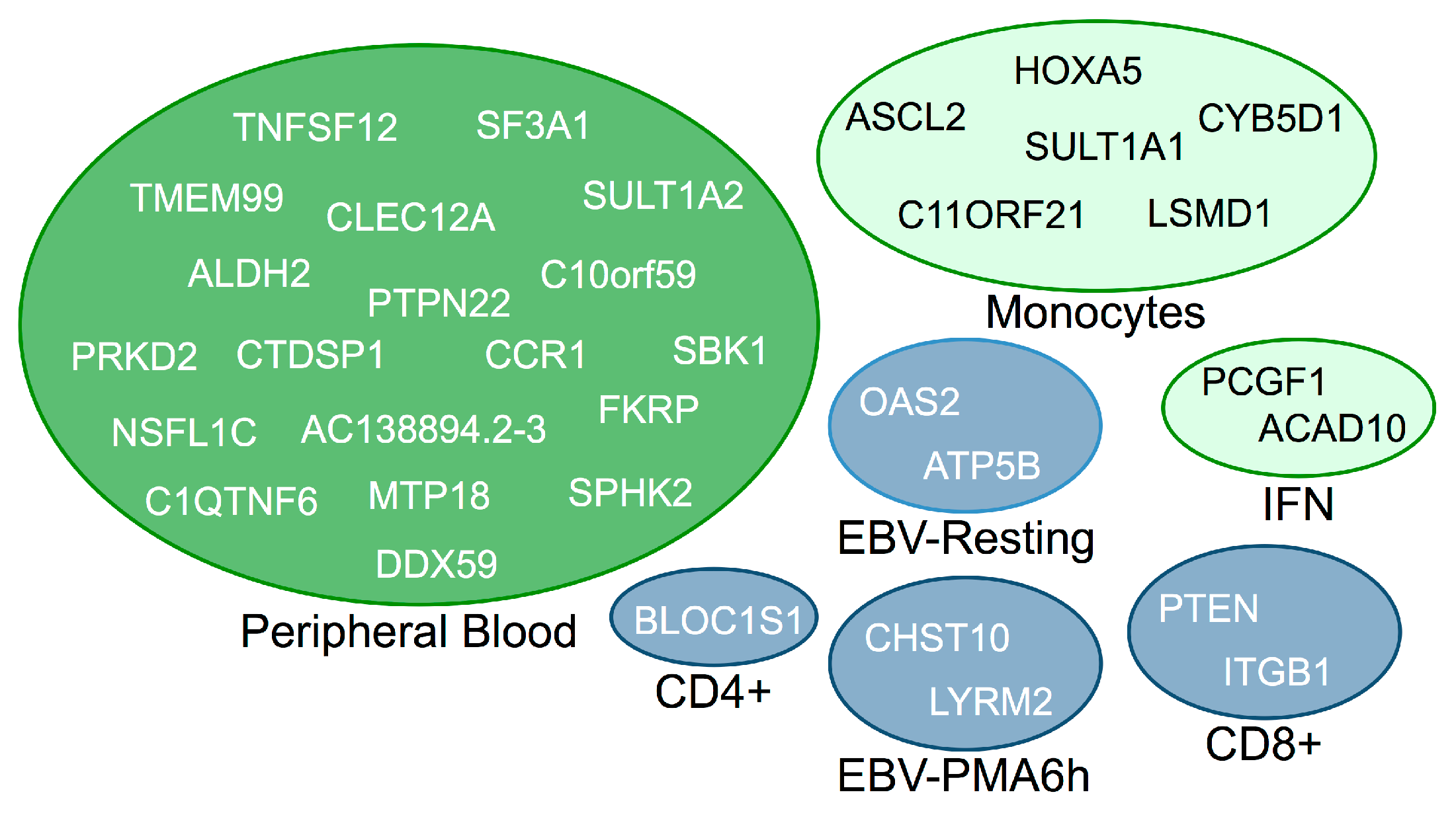 Genes 08 00167 g002
