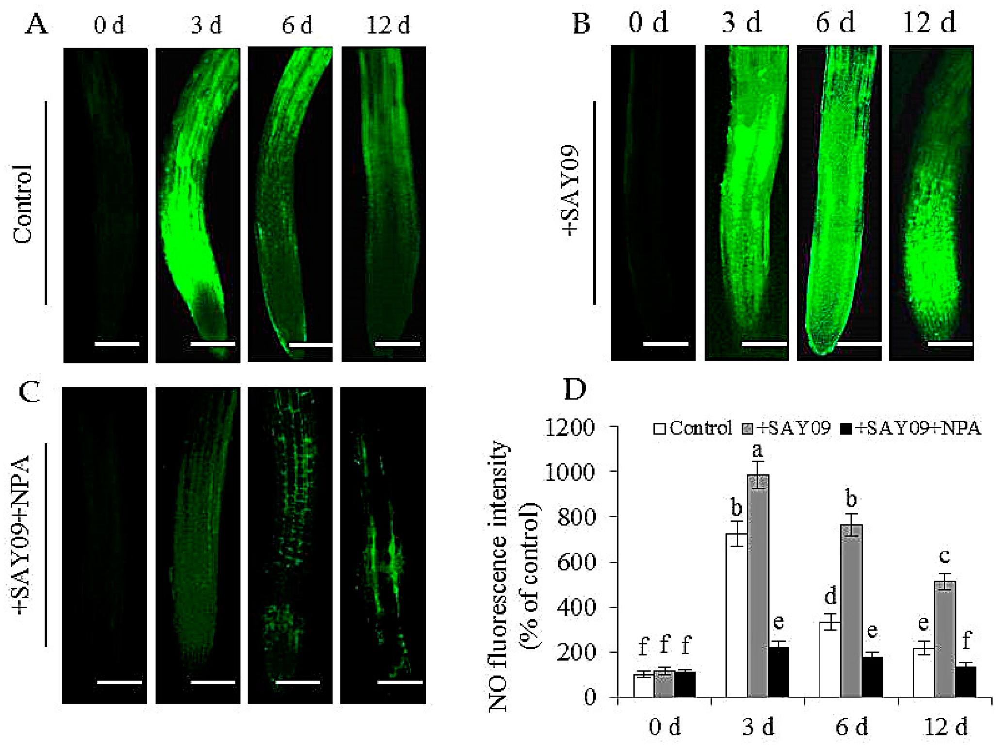 Genes 08 00173 g010