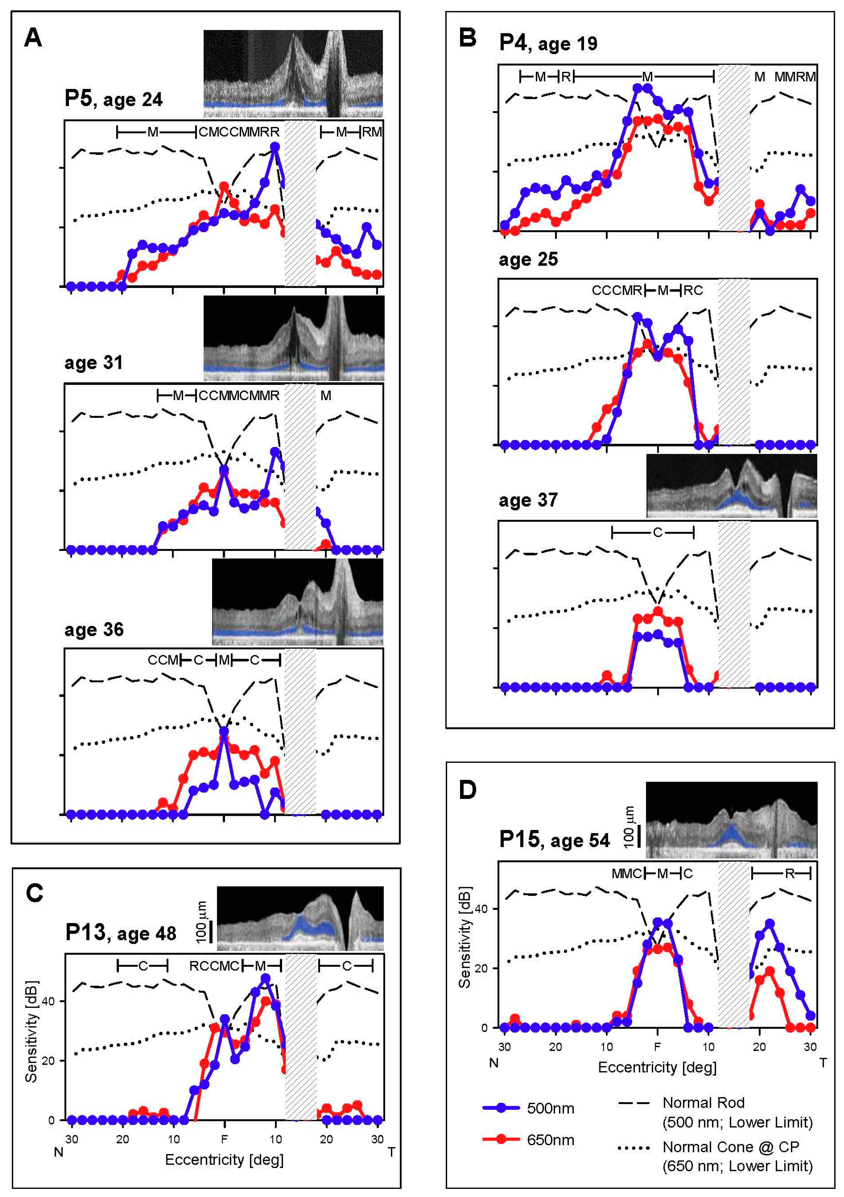 Genes 08 00178 g003 Genes 08 00178 g003