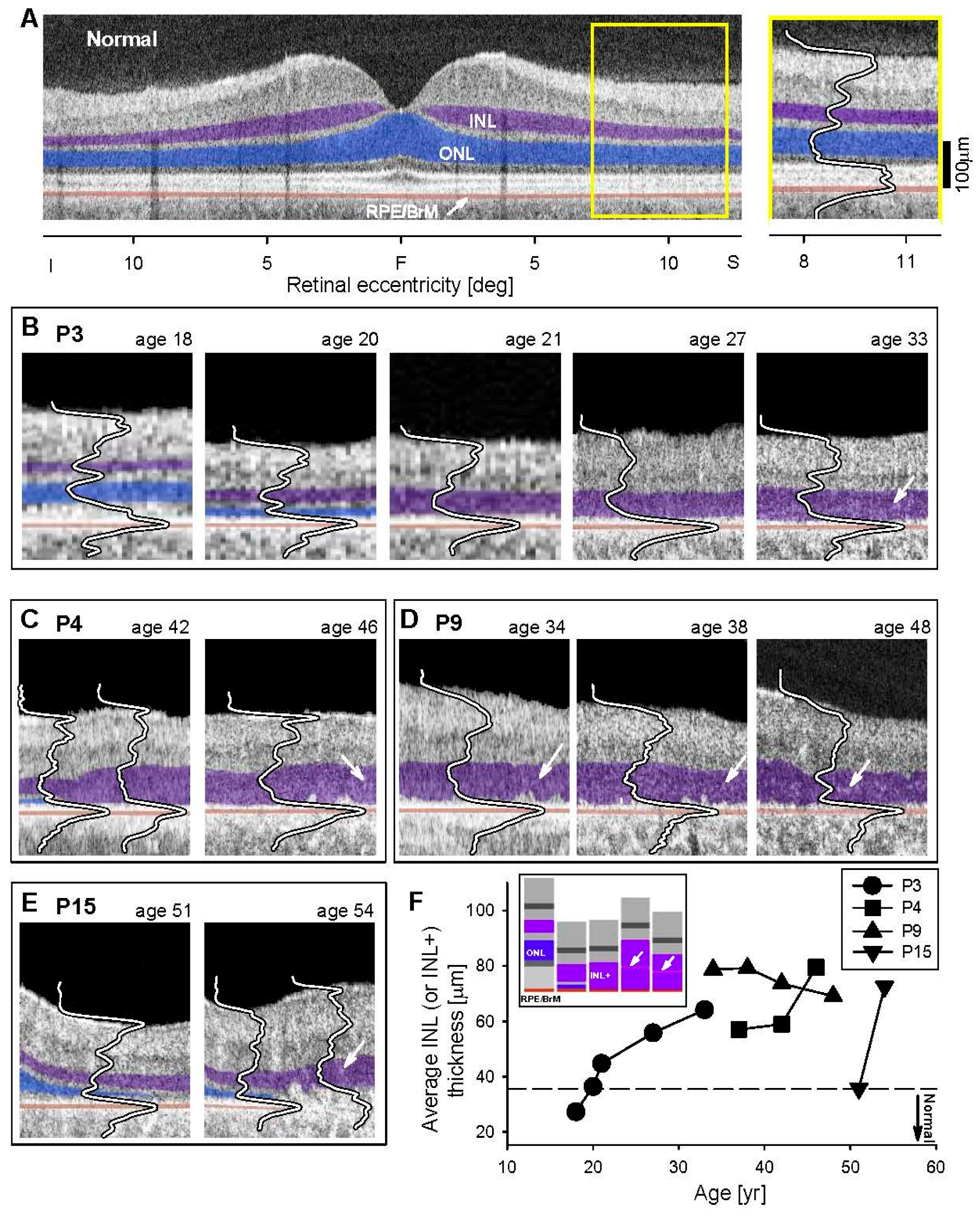 Genes 08 00178 g005 Genes 08 00178 g005