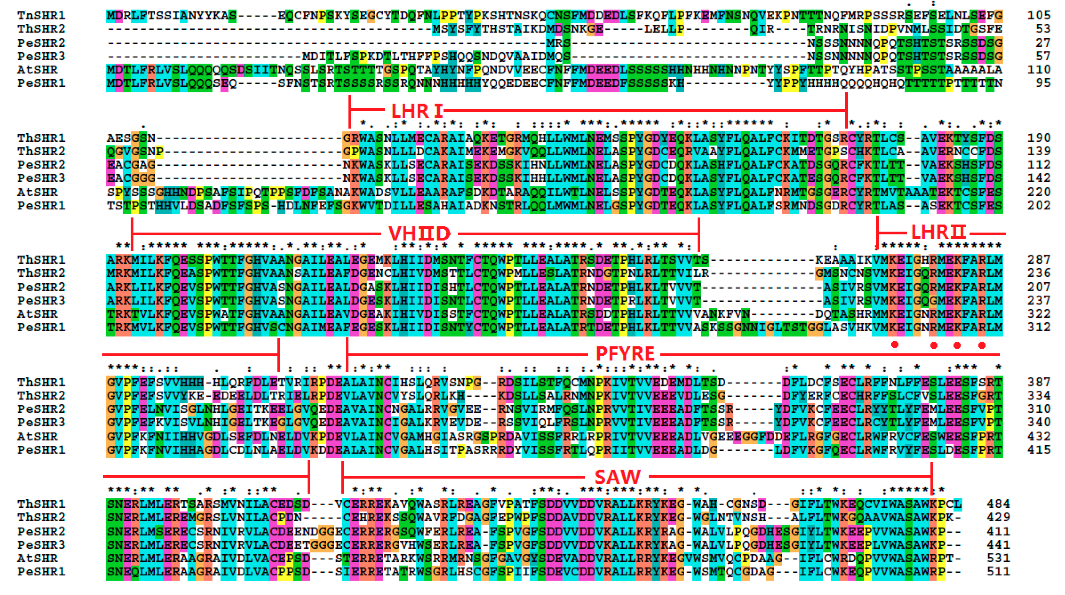 Genes 08 00185 g002 Genes 08 00185 g002