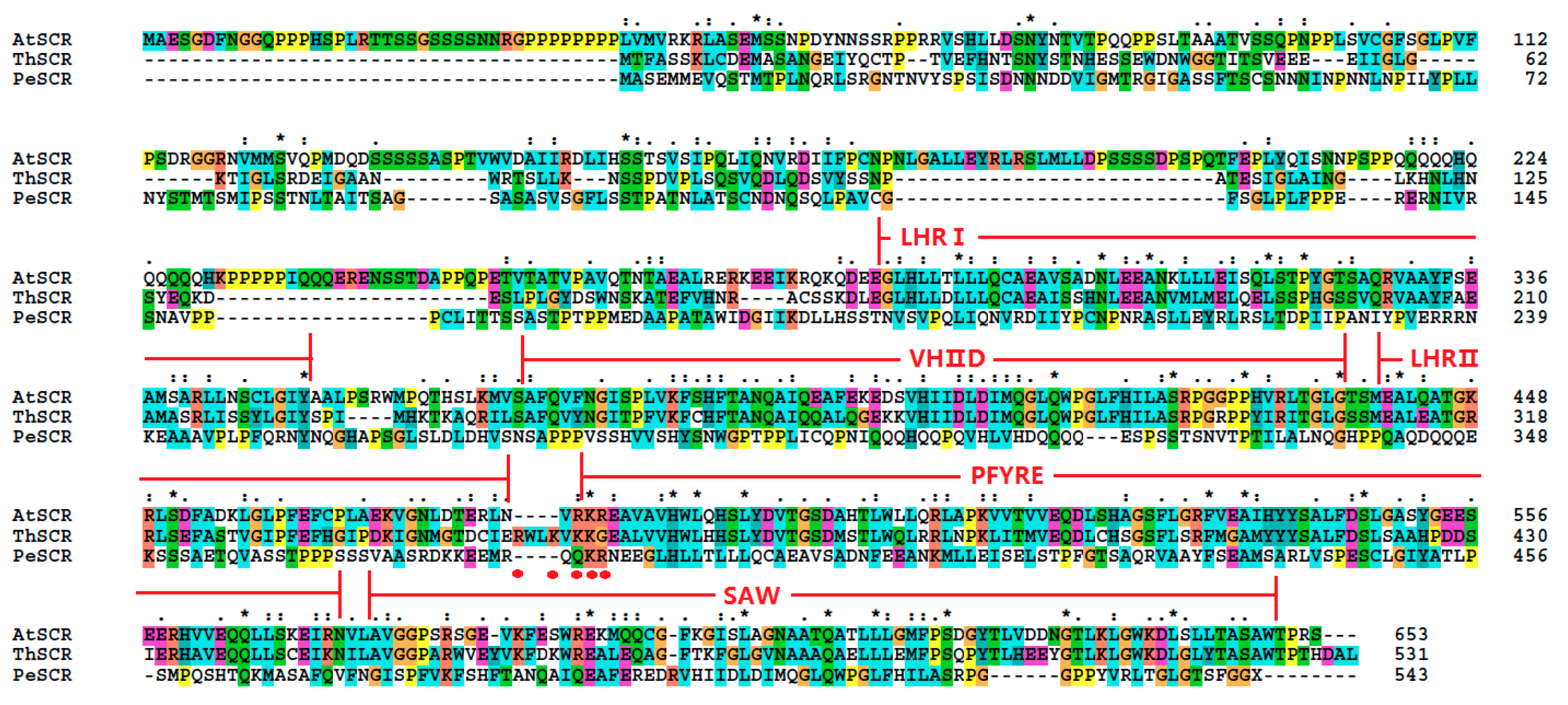 Genes 08 00185 g003 Genes 08 00185 g003