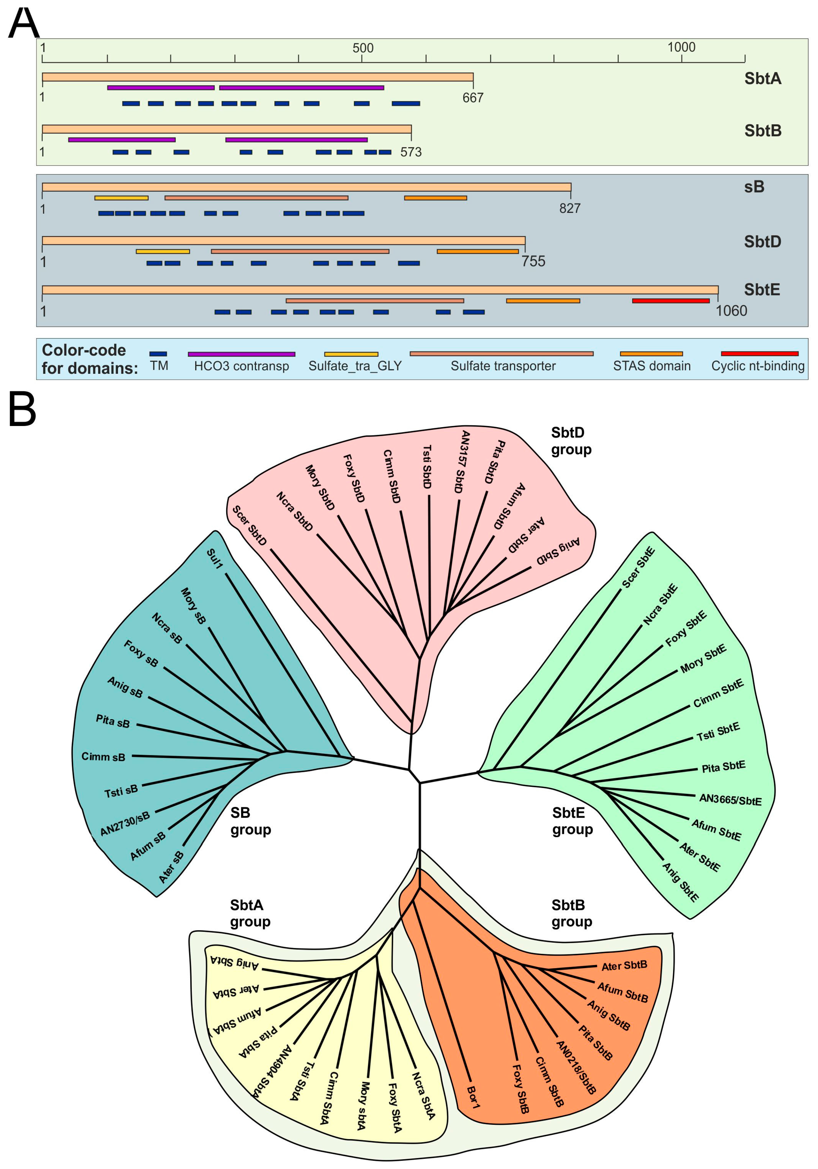 Genes 08 00188 g003 Genes 08 00188 g003