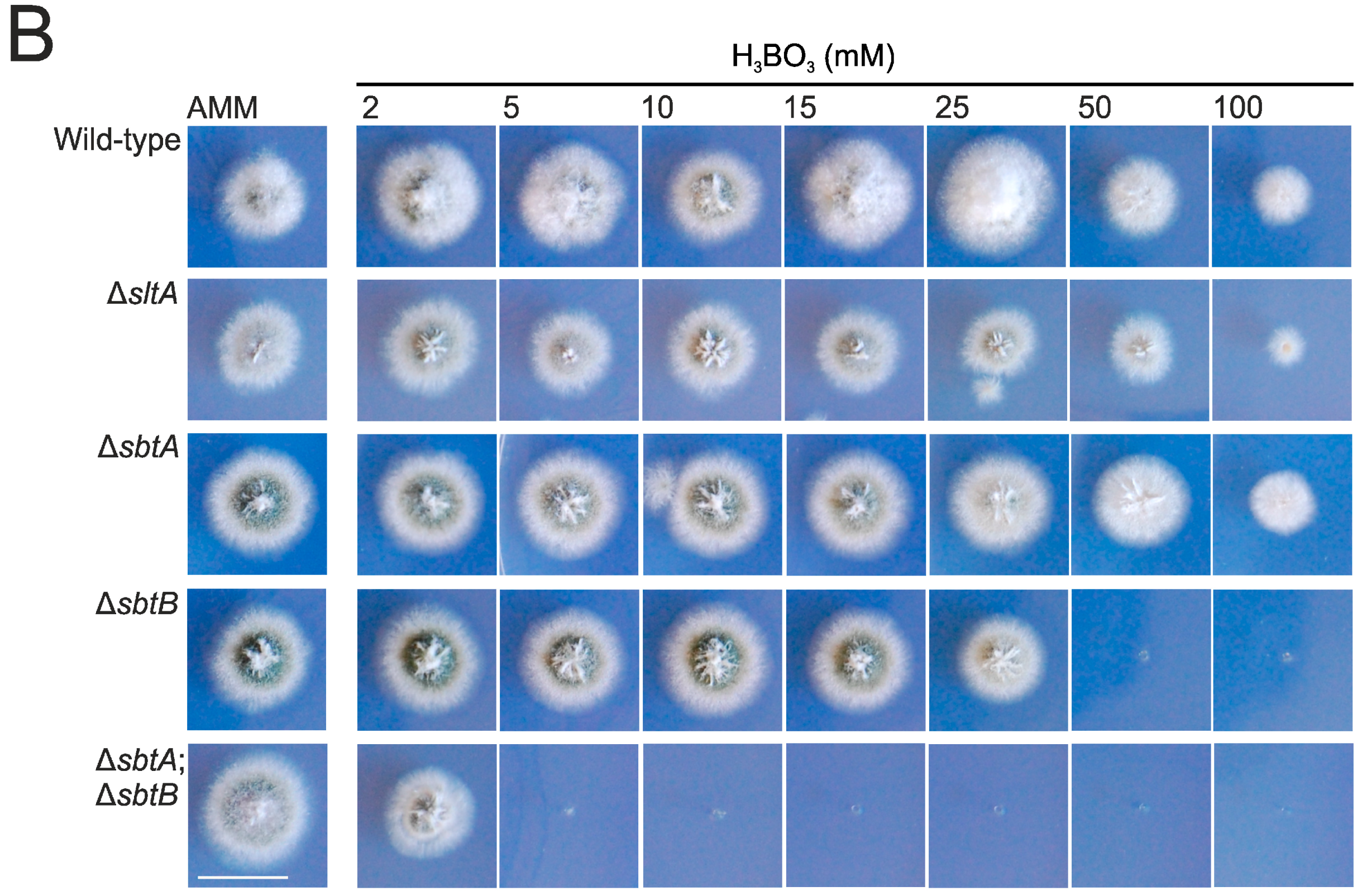 Genes 08 00188 g005b Genes 08 00188 g005b