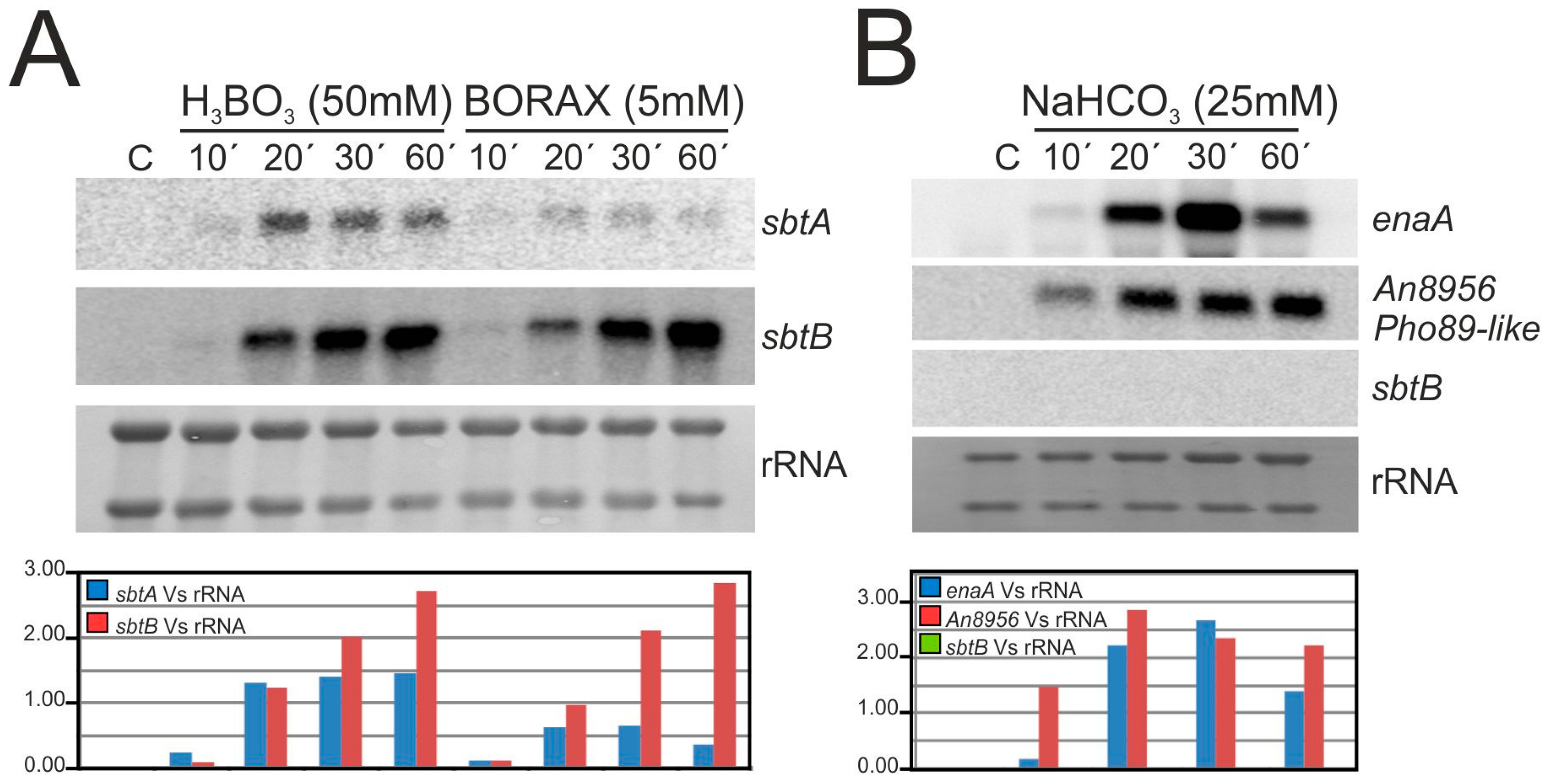 Genes 08 00188 g006a Genes 08 00188 g006a