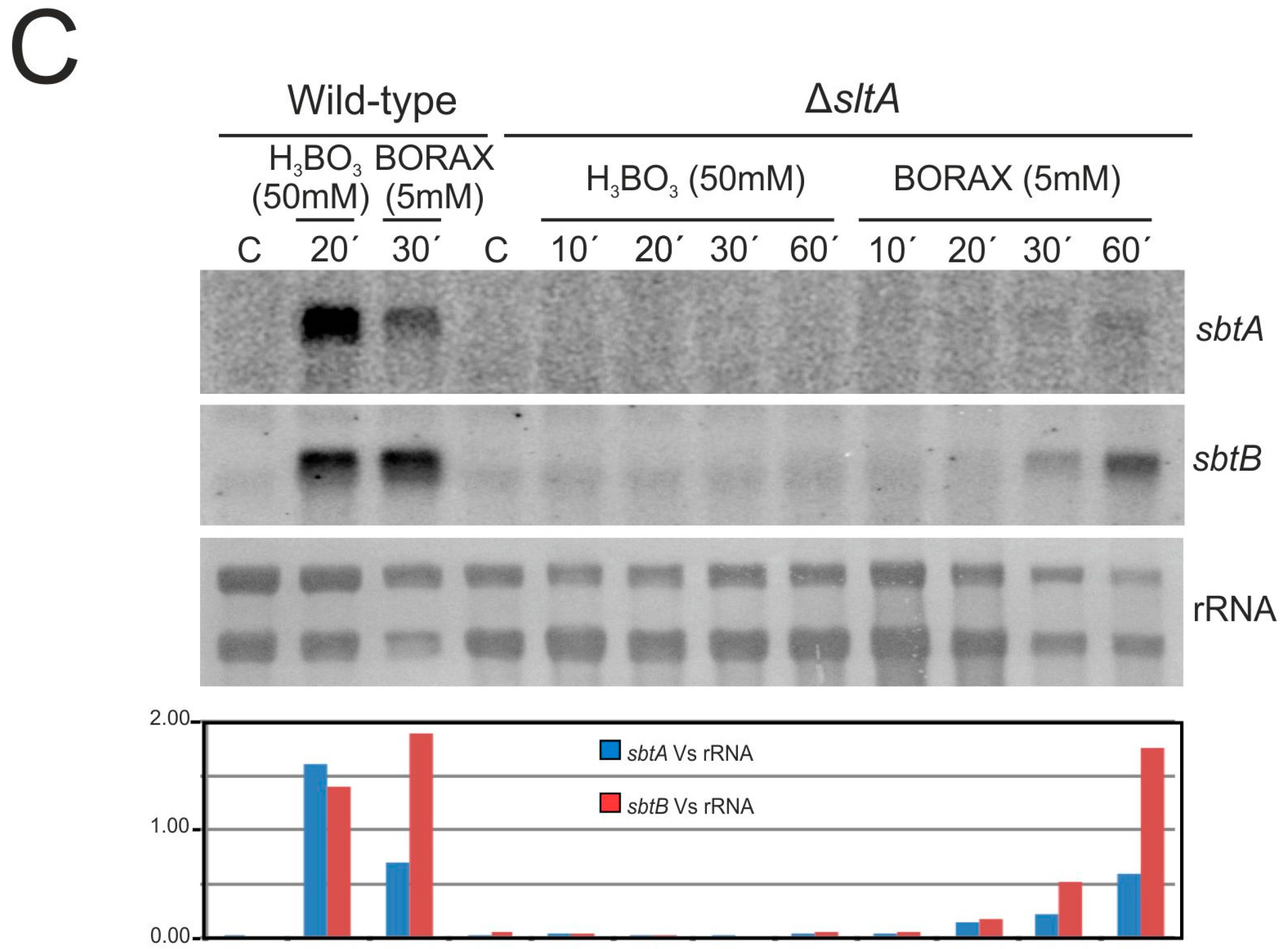 Genes 08 00188 g006b Genes 08 00188 g006b