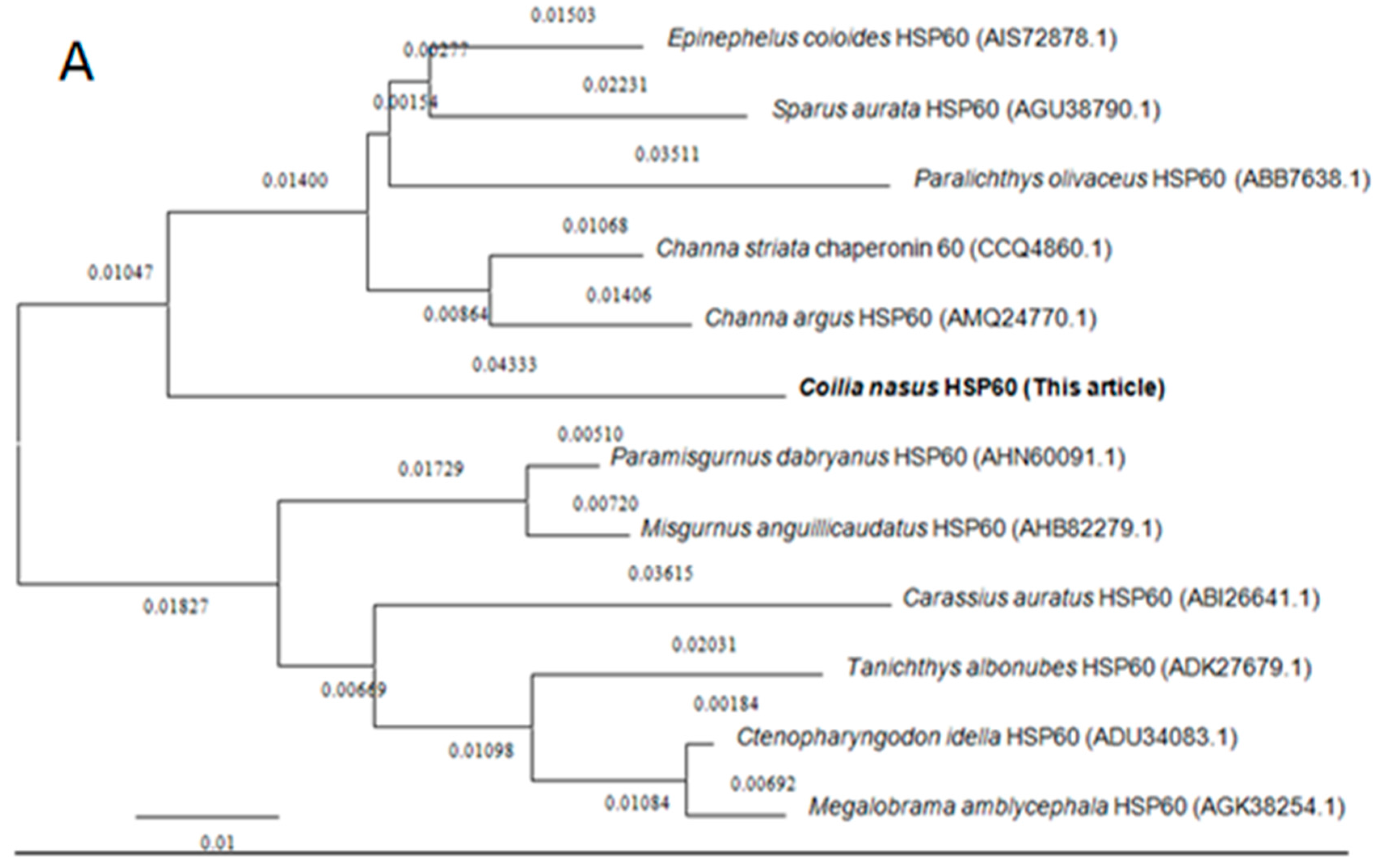 Genes 08 00189 g002a Genes 08 00189 g002a