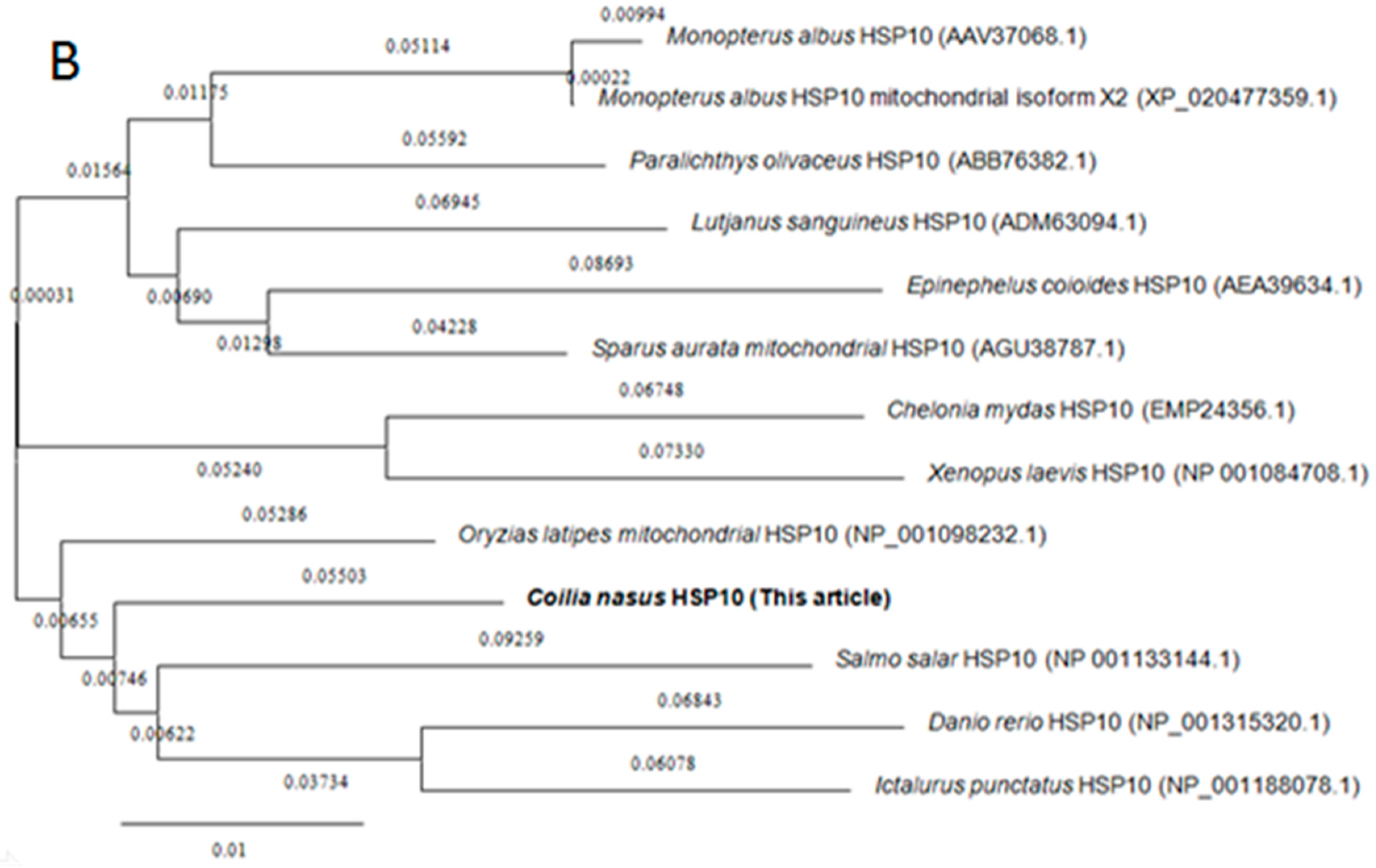 Genes 08 00189 g002b Genes 08 00189 g002b
