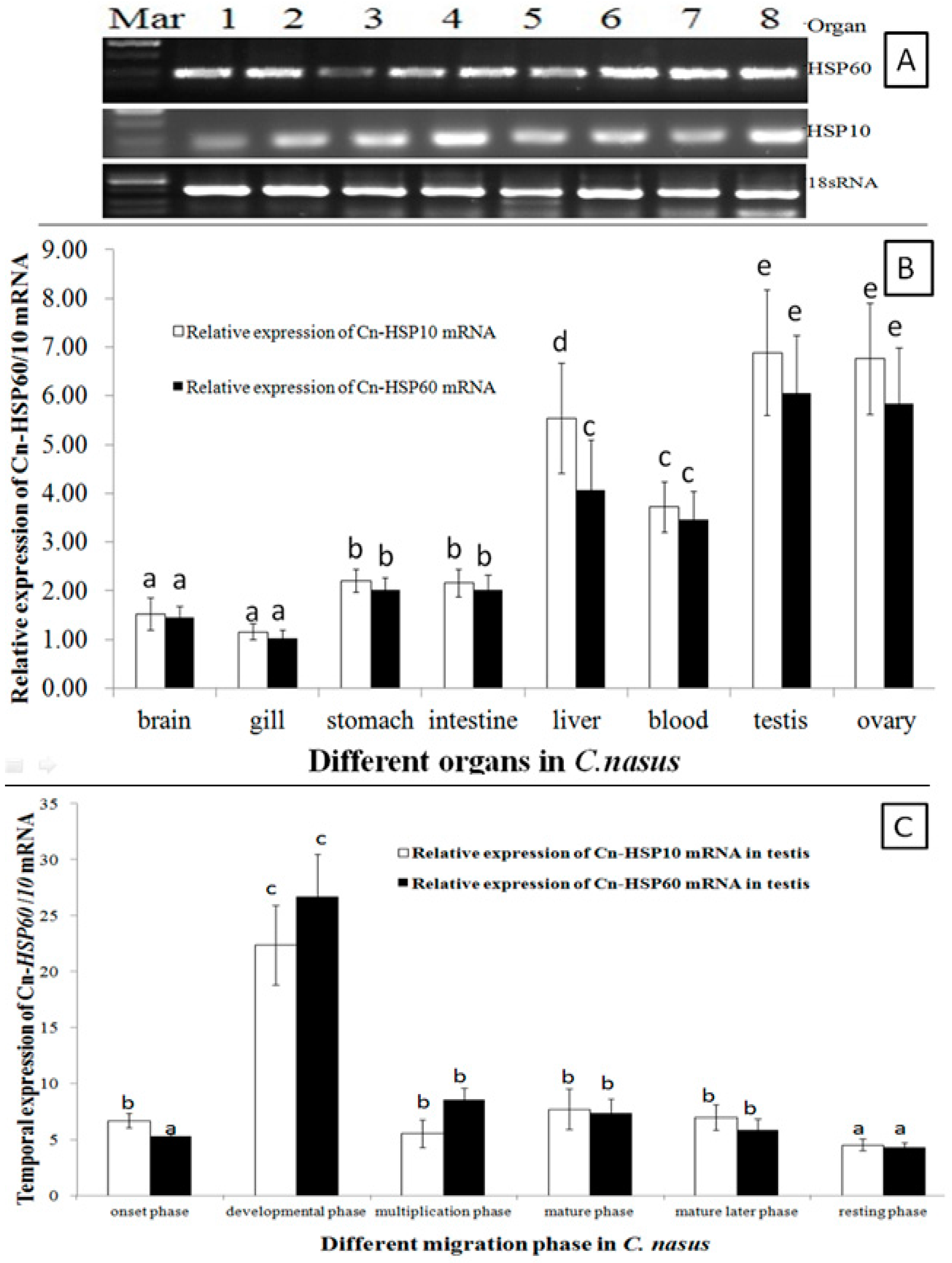Genes 08 00189 g003 Genes 08 00189 g003