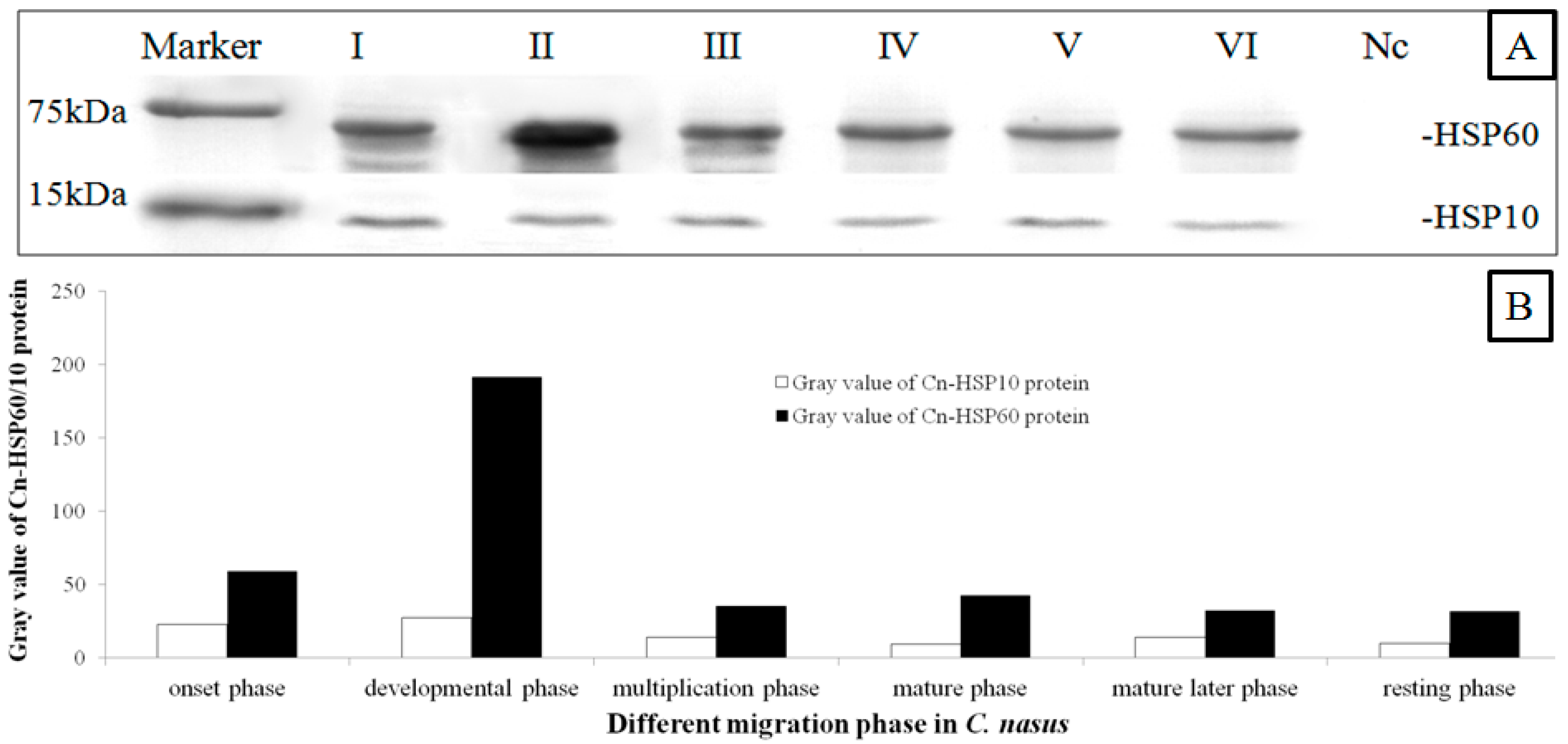 Genes 08 00189 g004 Genes 08 00189 g004