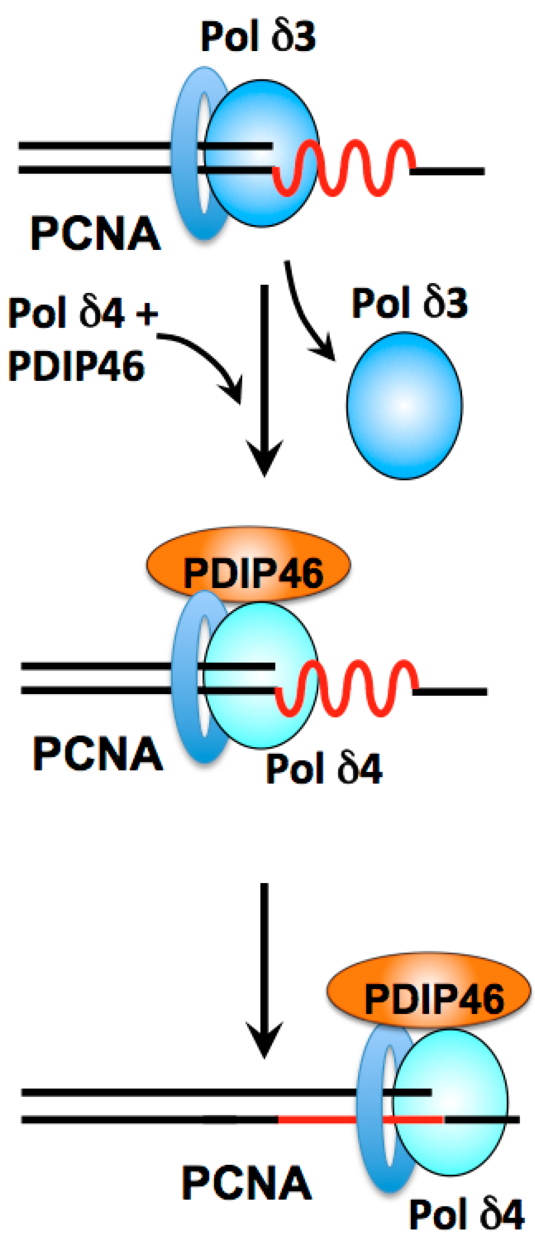 Genes 08 00190 g006 Genes 08 00190 g006