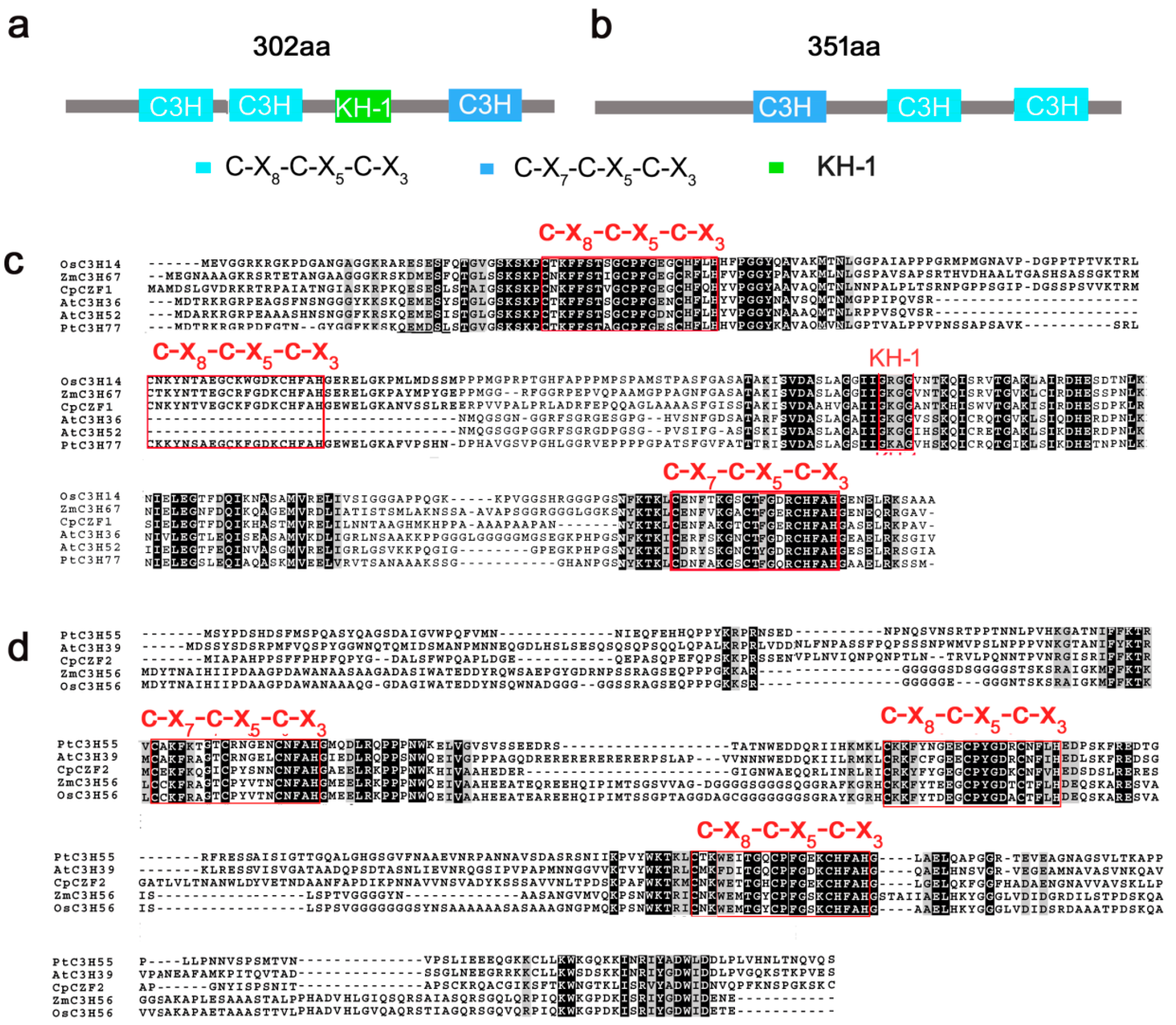 Genes 08 00199 g001 Genes 08 00199 g001