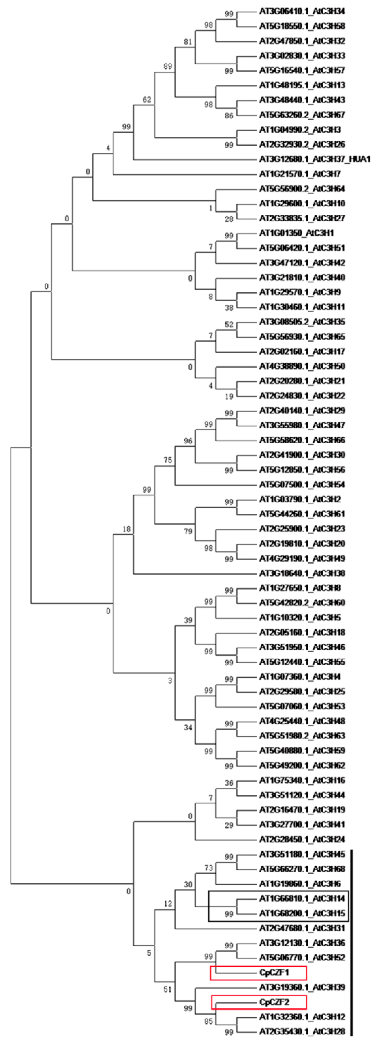 Genes 08 00199 g002 Genes 08 00199 g002