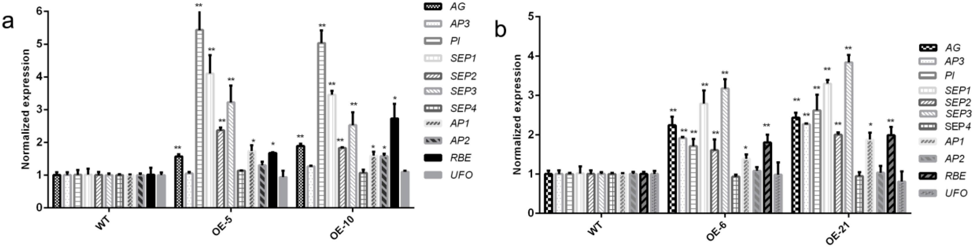 Genes 08 00199 g006 Genes 08 00199 g006