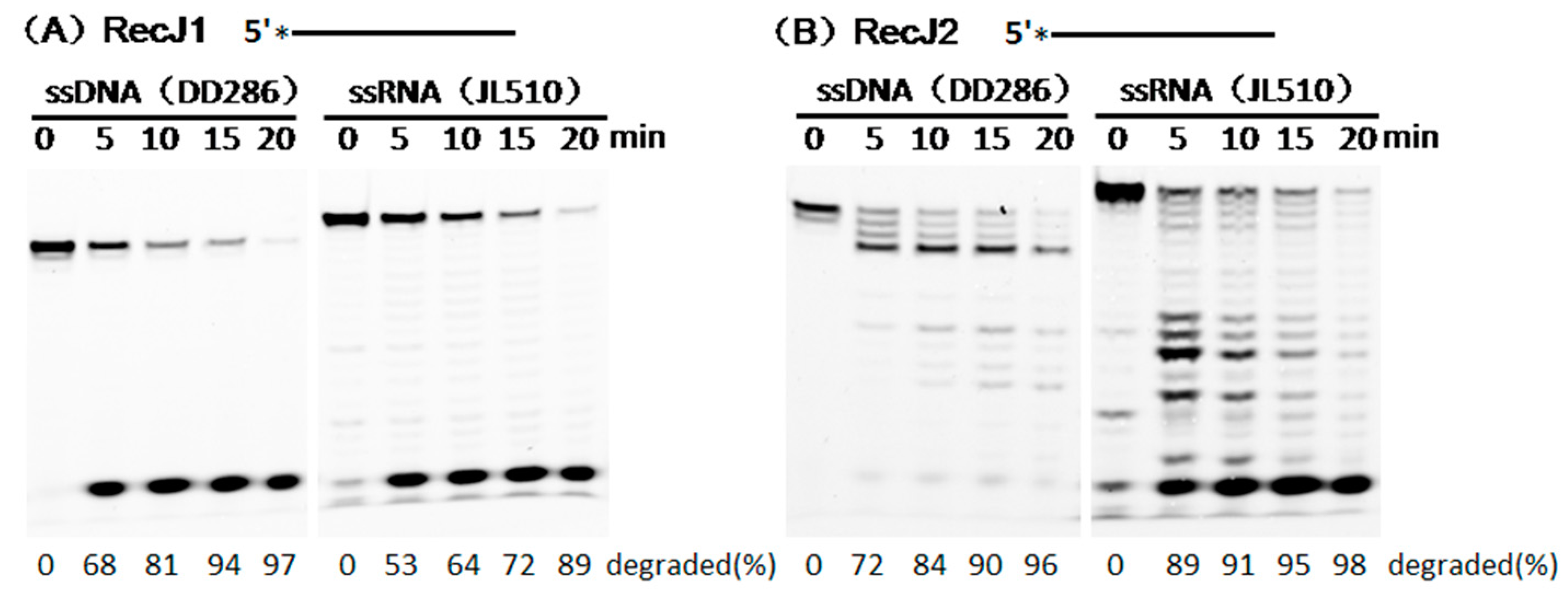 Genes 08 00211 g003