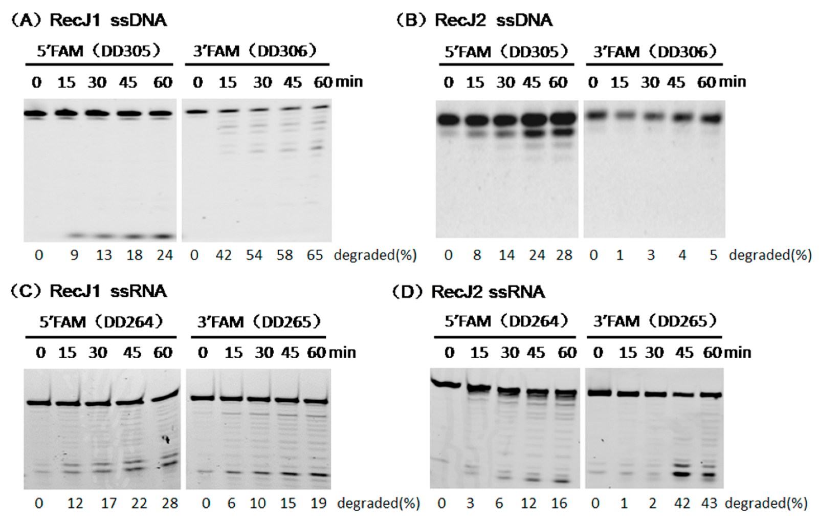 Genes 08 00211 g004