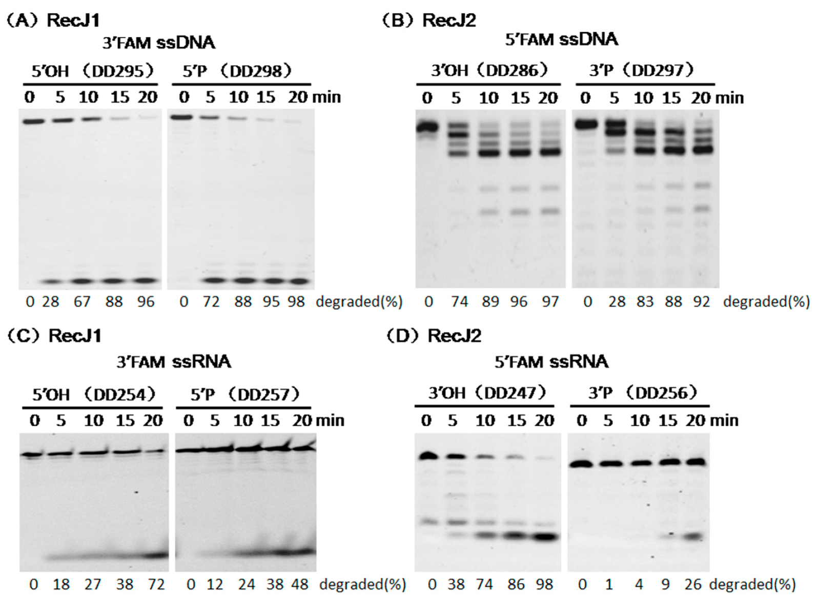 Genes 08 00211 g005